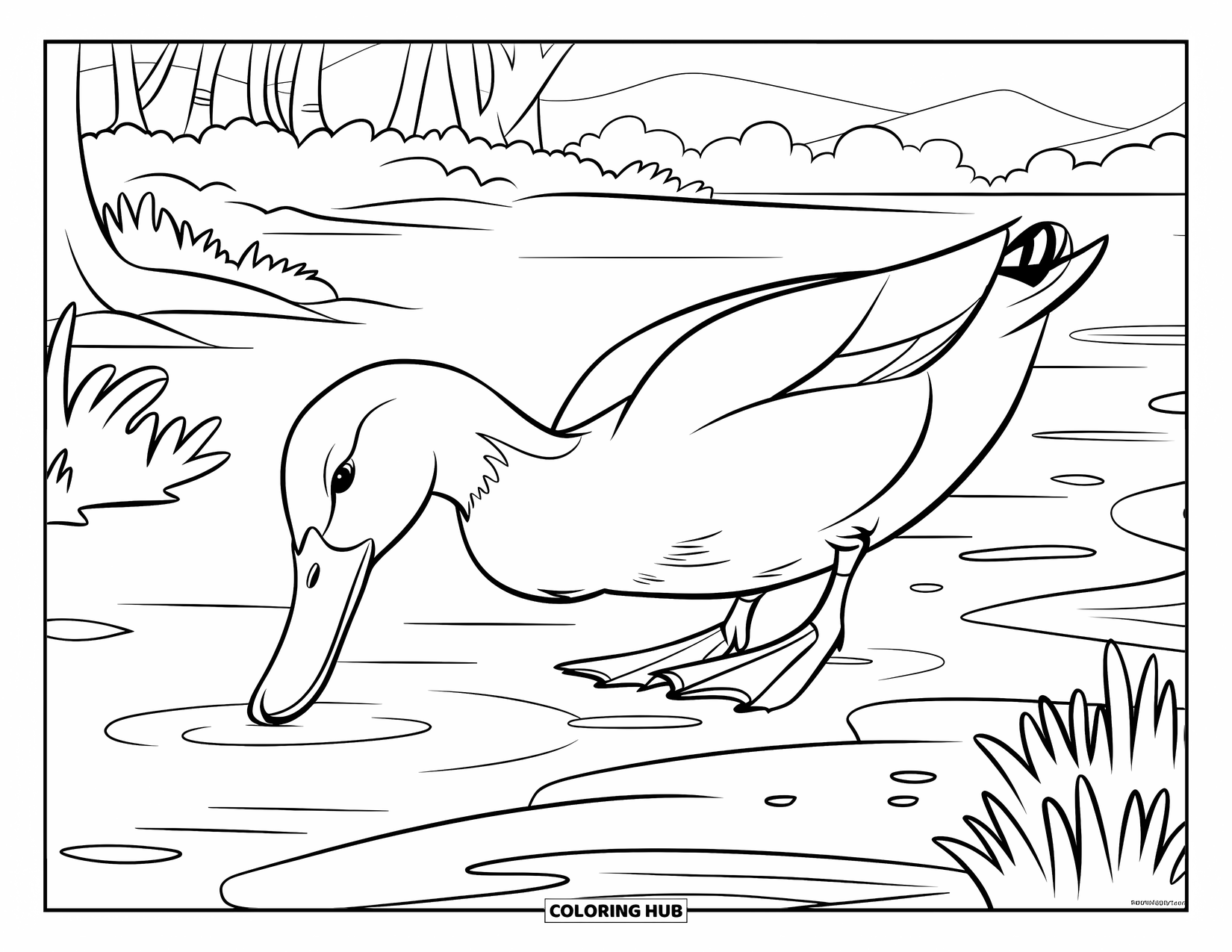 Mallard Duck Coloring Page for Kids: Mallard duck foraging along a muddy riverbank near trees and mountains