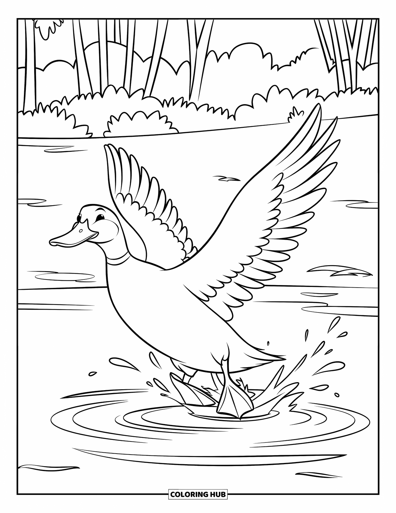 Mallard Duck Coloring Page for Kids: Mallard duck landing in a pond with ripples spreading out