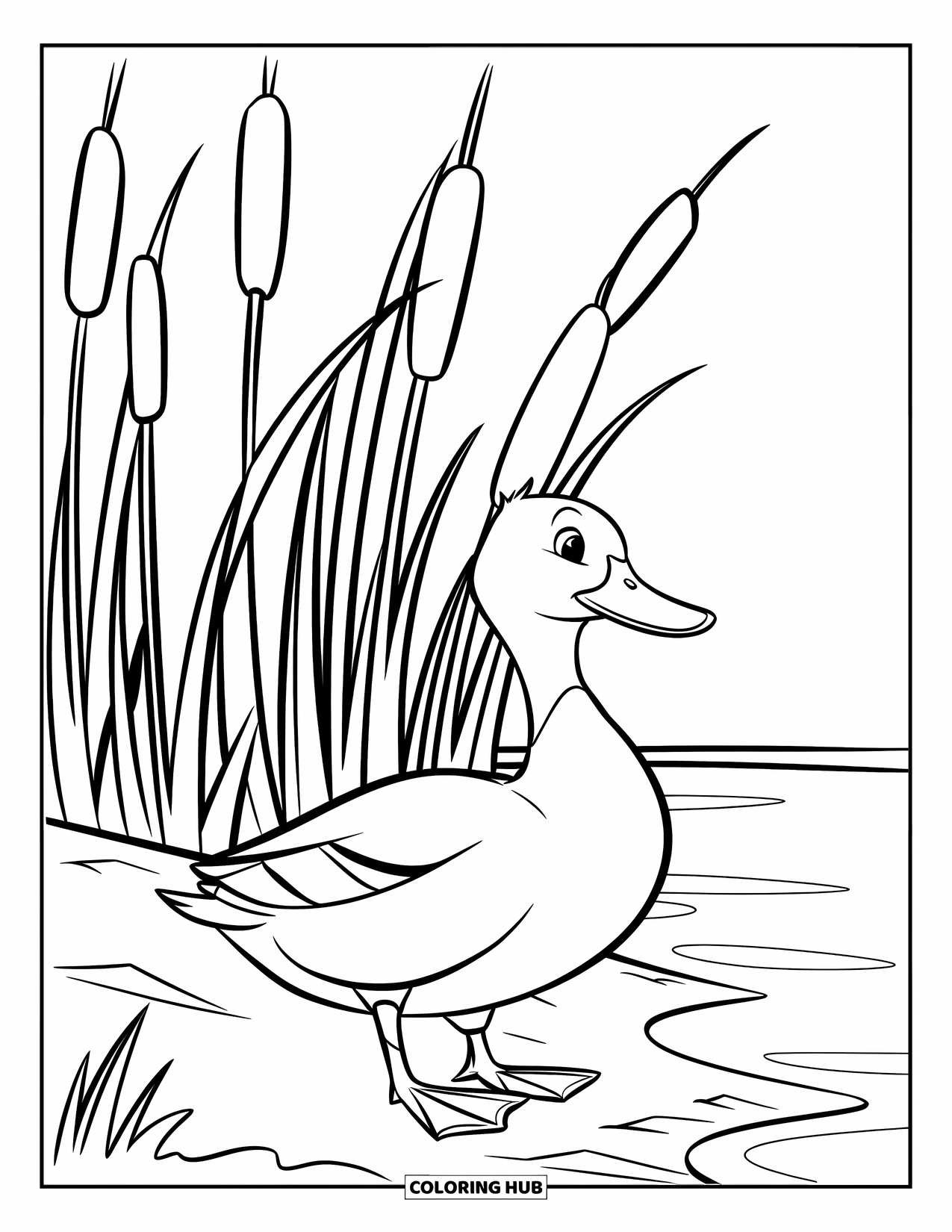 Mallard Duck Coloring Page for Kids: Mallard duck on shore with cattails and a serene lake