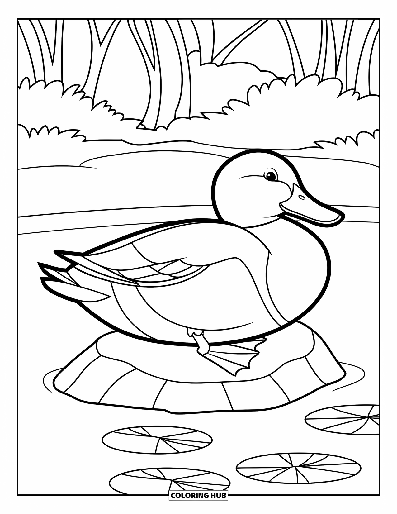 Mallard Duck Coloring Page for Kids: Mallard duck resting on a small rock by a pond