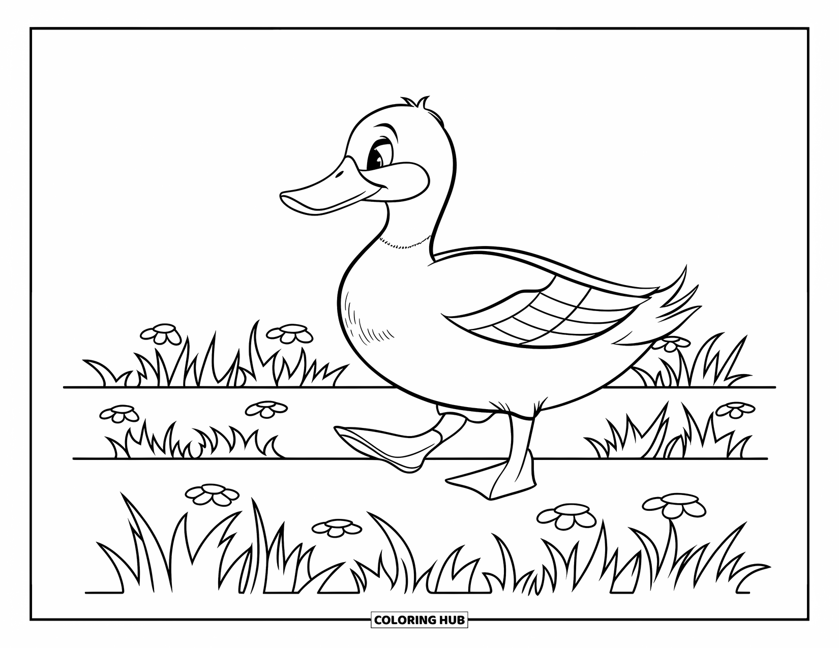 Mallard Duck Coloring Page for Kids: Mallard duck walking along a grassy bank with flowers