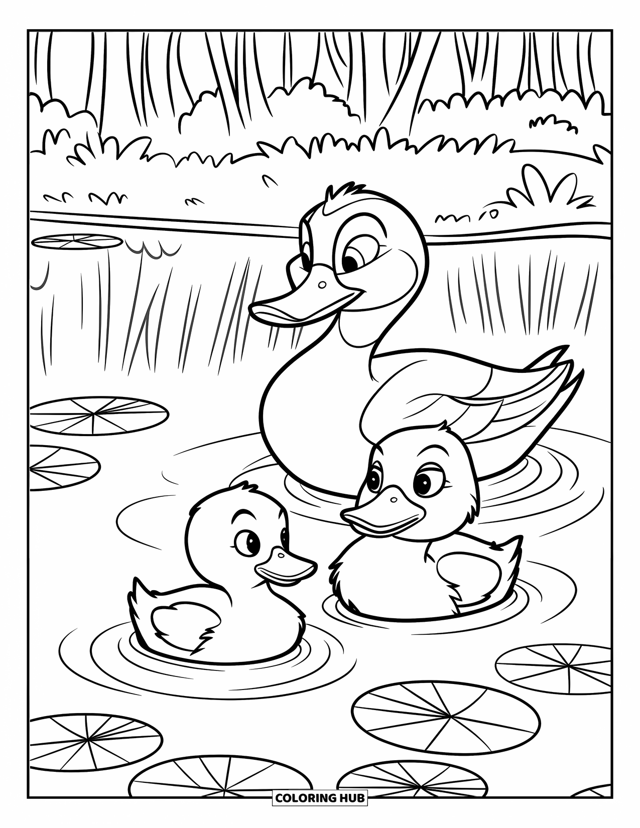 Mallard Duck Coloring Page for Kids: Mallard duck with two ducklings swimming among lily pads