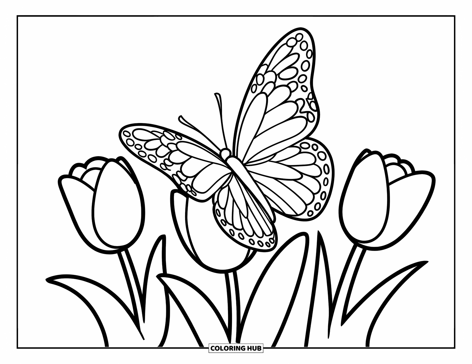 March Coloring Page for Kids: Large butterfly and three tulips in a vase make a cute spring scene
