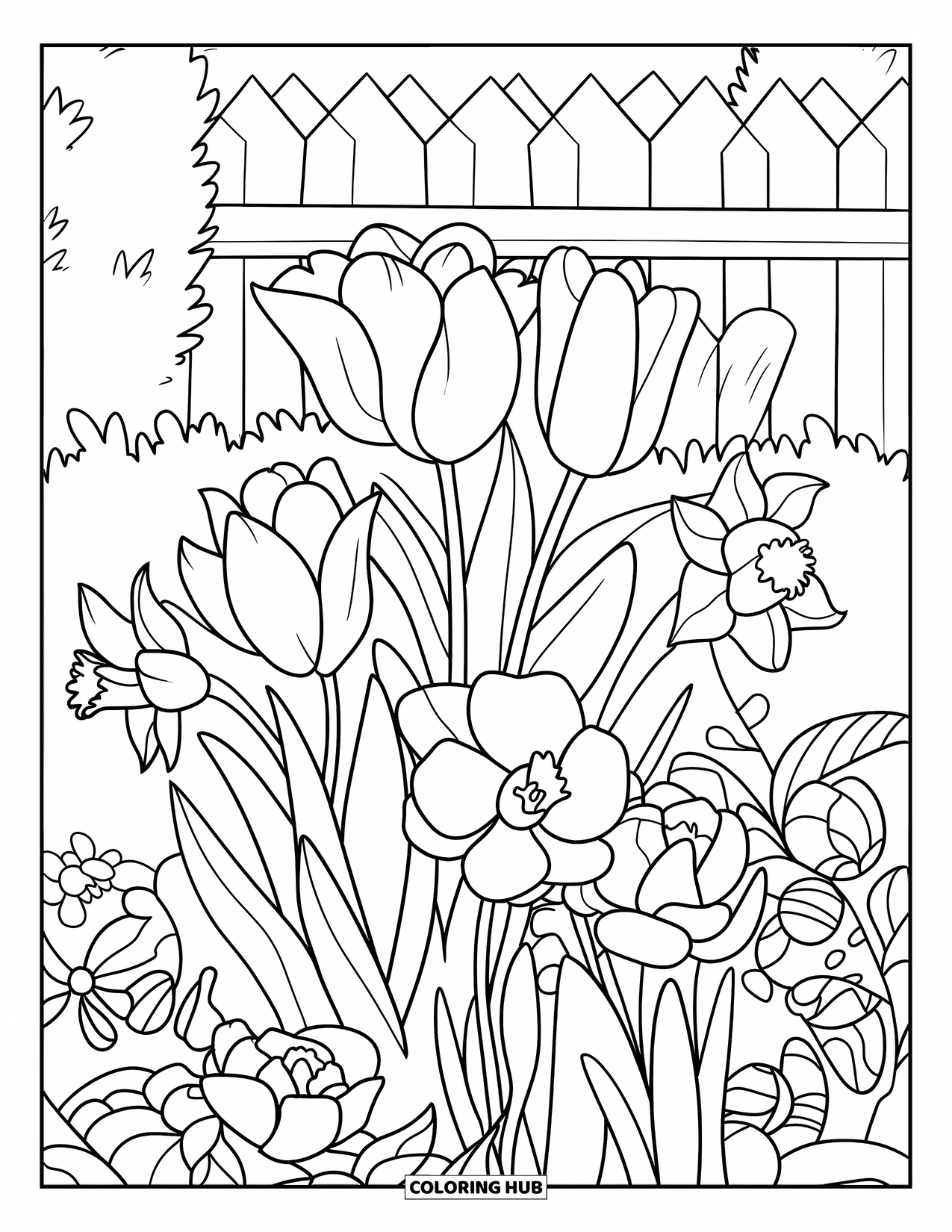 May Coloring Page for Kids: Daffodils and tulips bloom near a picket fence in a spring garden
