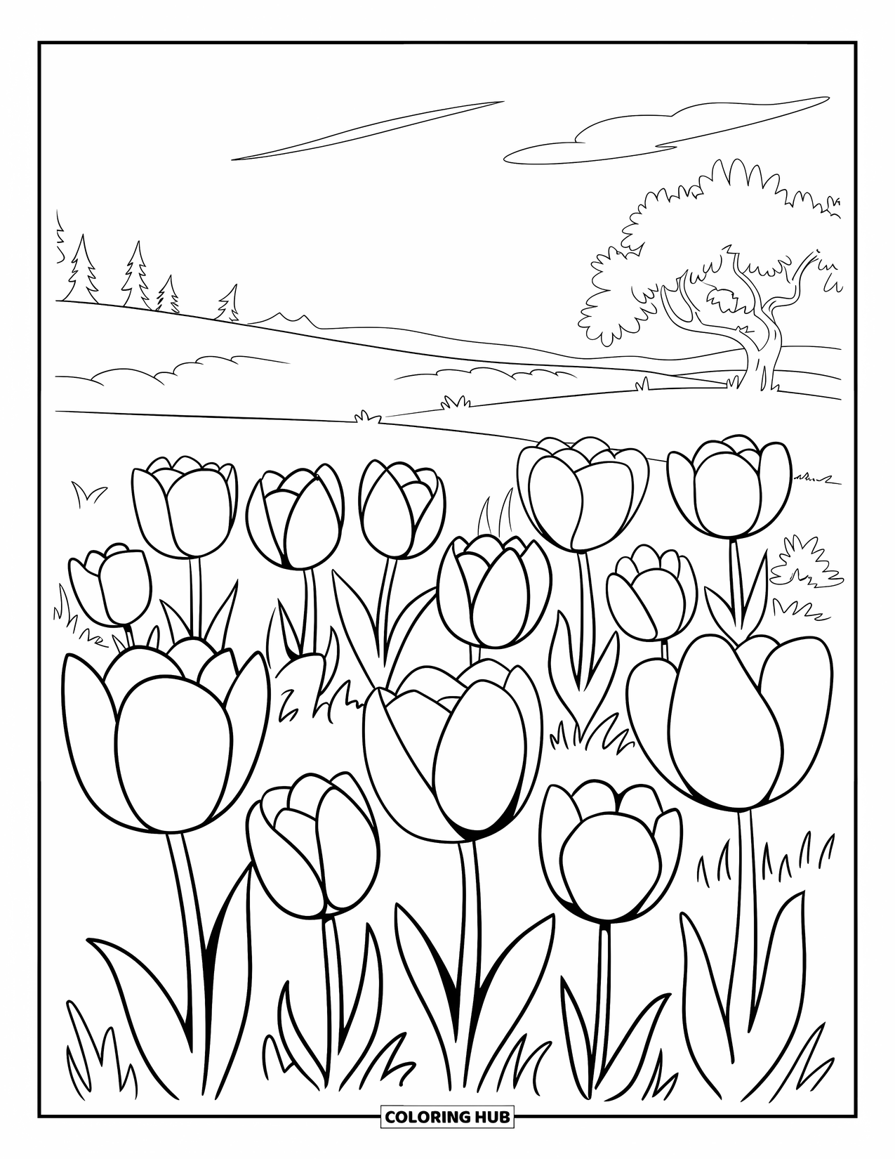 May Coloring Page for Kids: Rows of tulips bloom in a grassy field beneath a few scattered clouds