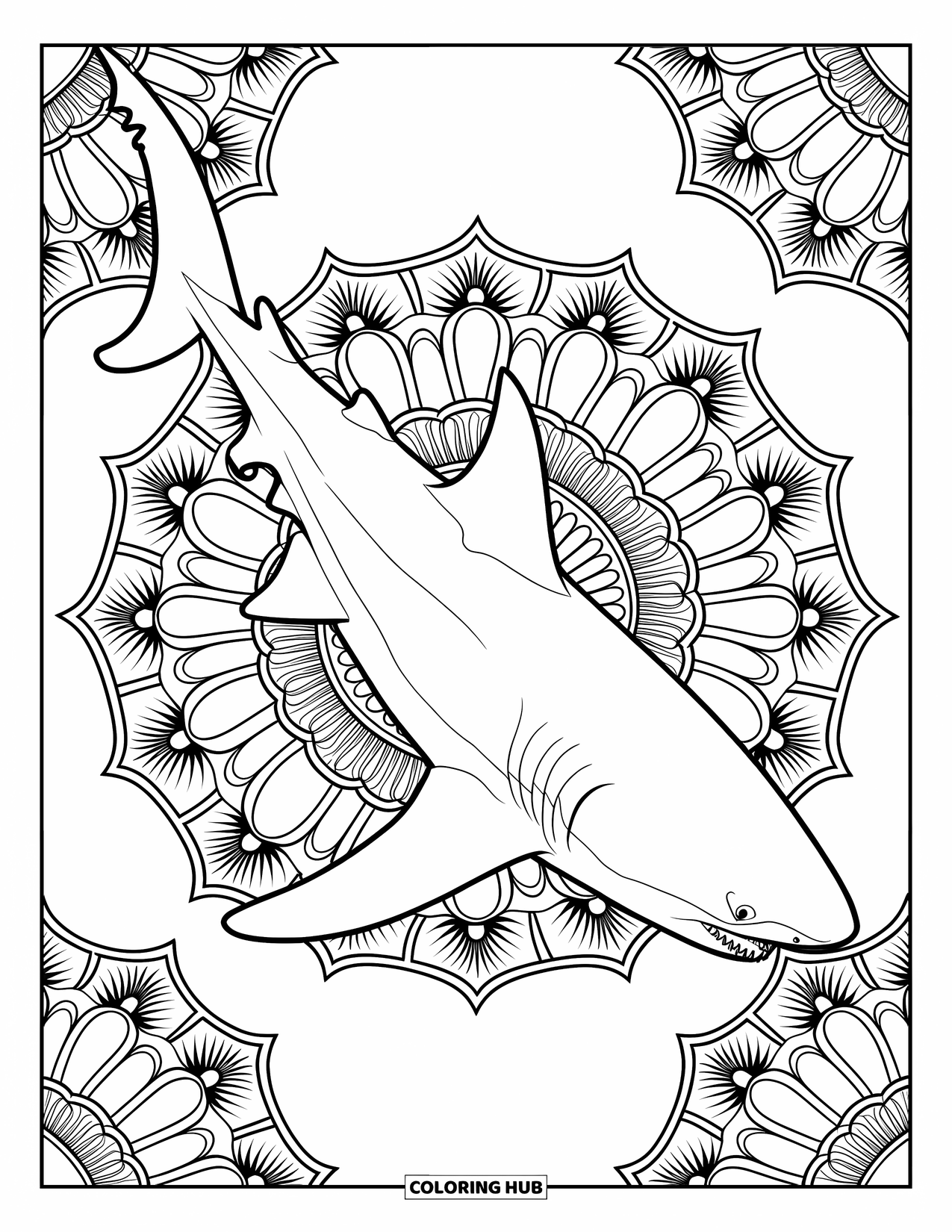 Megalodon Shark Coloring Page for Adults: A diagonal megalodon is surrounded by spiraling floral mandalas