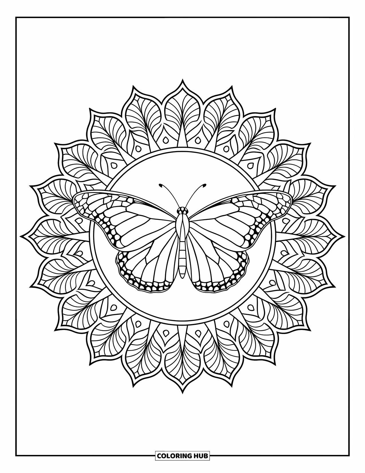 Monarch Butterfly Coloring Page for Adults: A monarch butterfly is centered in a mandala of leaves and petals