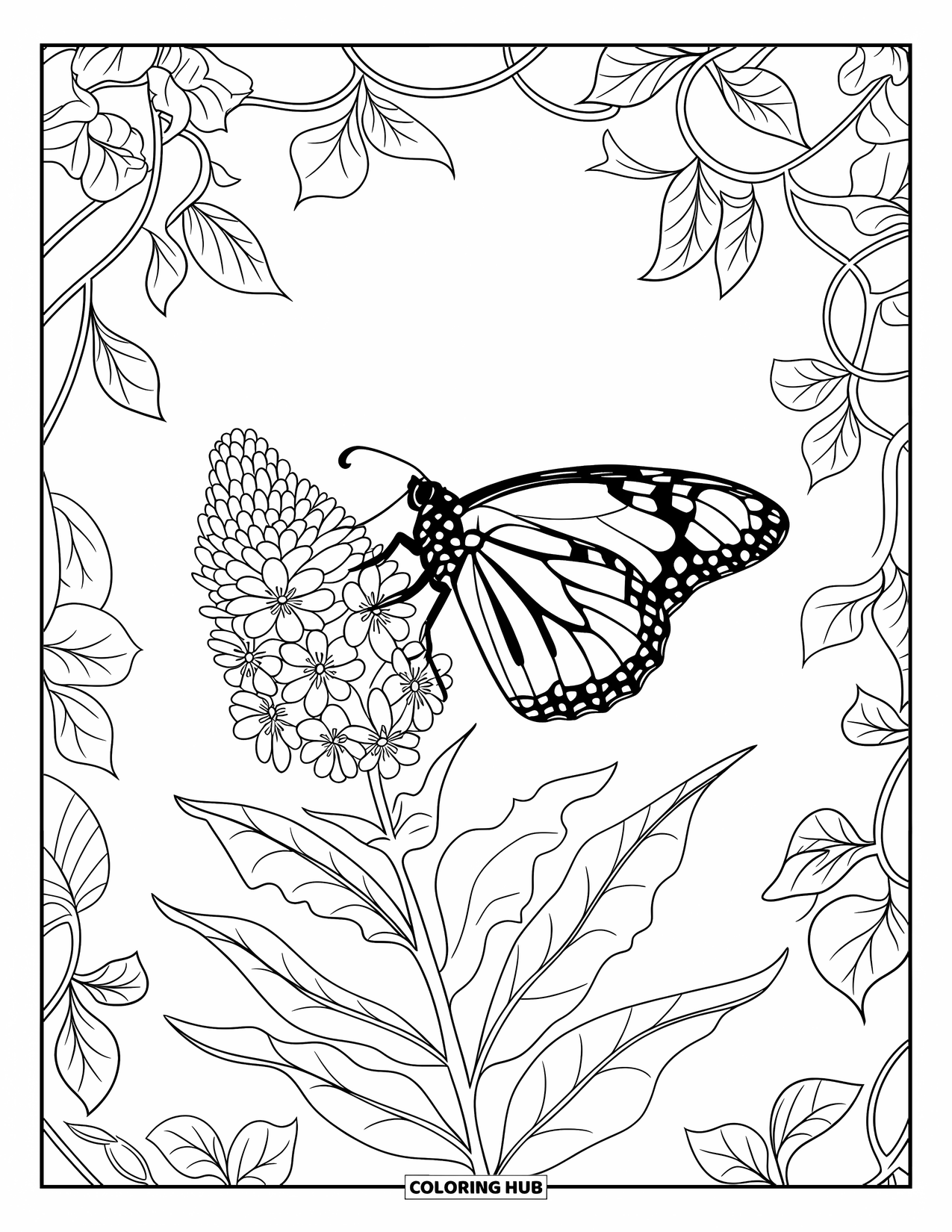 Monarch Butterfly Coloring Page for Adults: A monarch perches gently on a blooming milkweed in a leafy garden