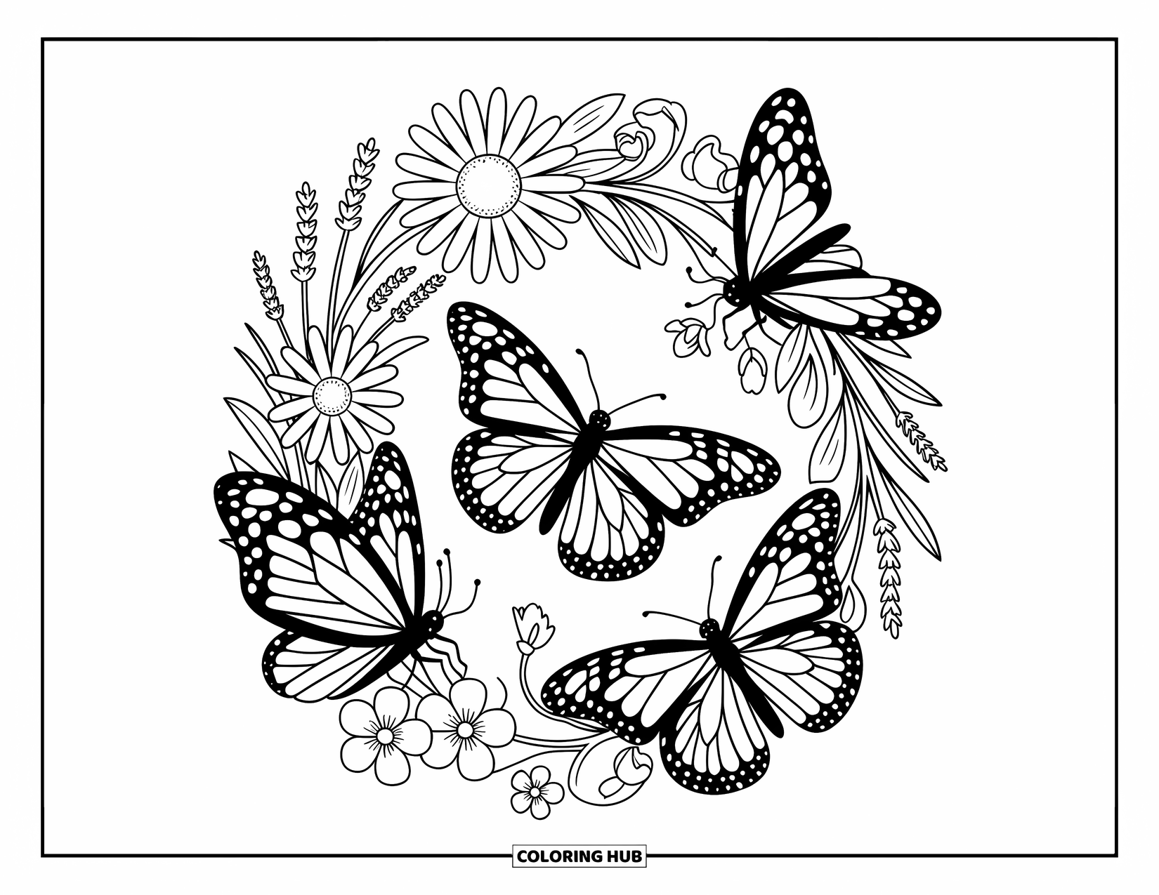 Monarch Butterfly Coloring Page for Adults: Three butterflies rest and flutter around a wreath of daisies, lavender, and cherry blossoms