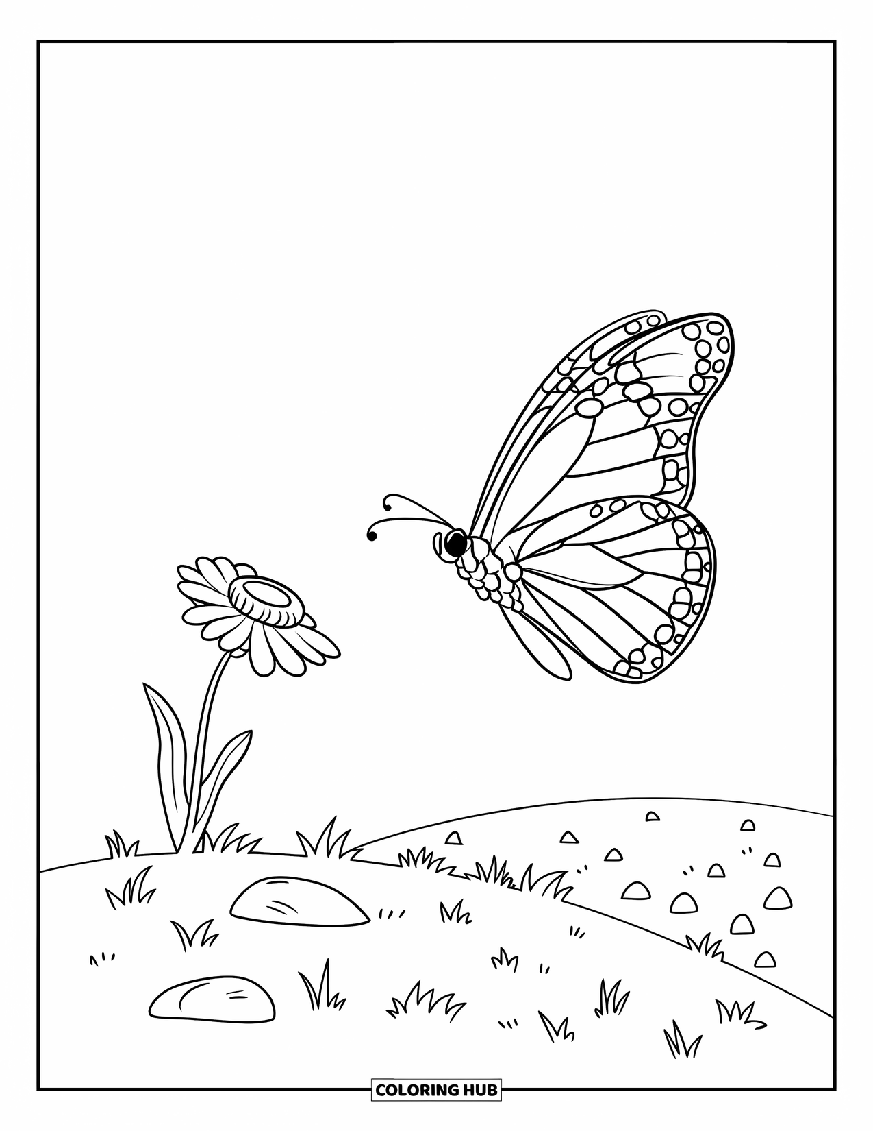 Monarch Butterfly Coloring Page for Kids: A butterfly floats gently over a grassy hill with small rocks