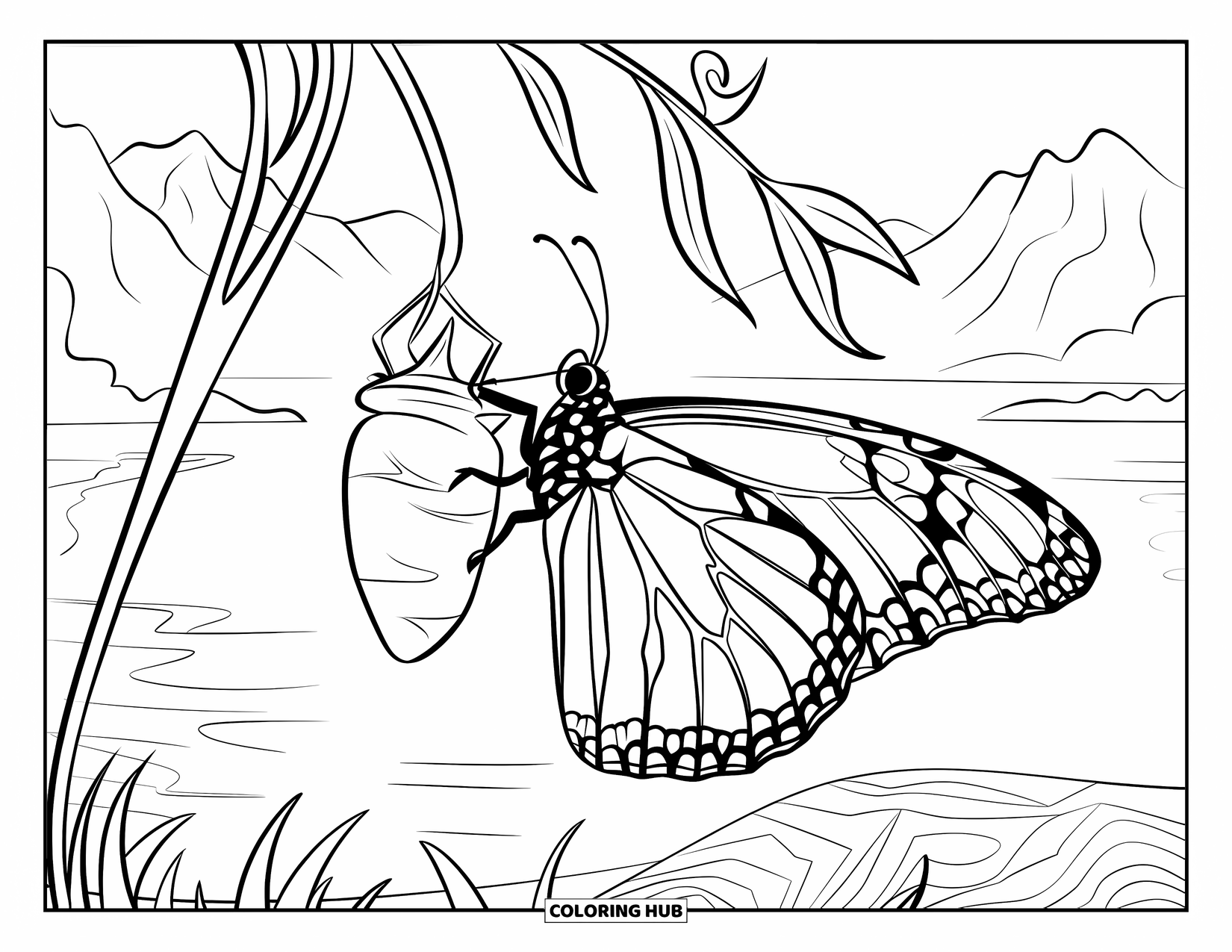 Monarch Butterfly Coloring Page for Kids: A butterfly perches on a stick beside a chrysalis and calm water