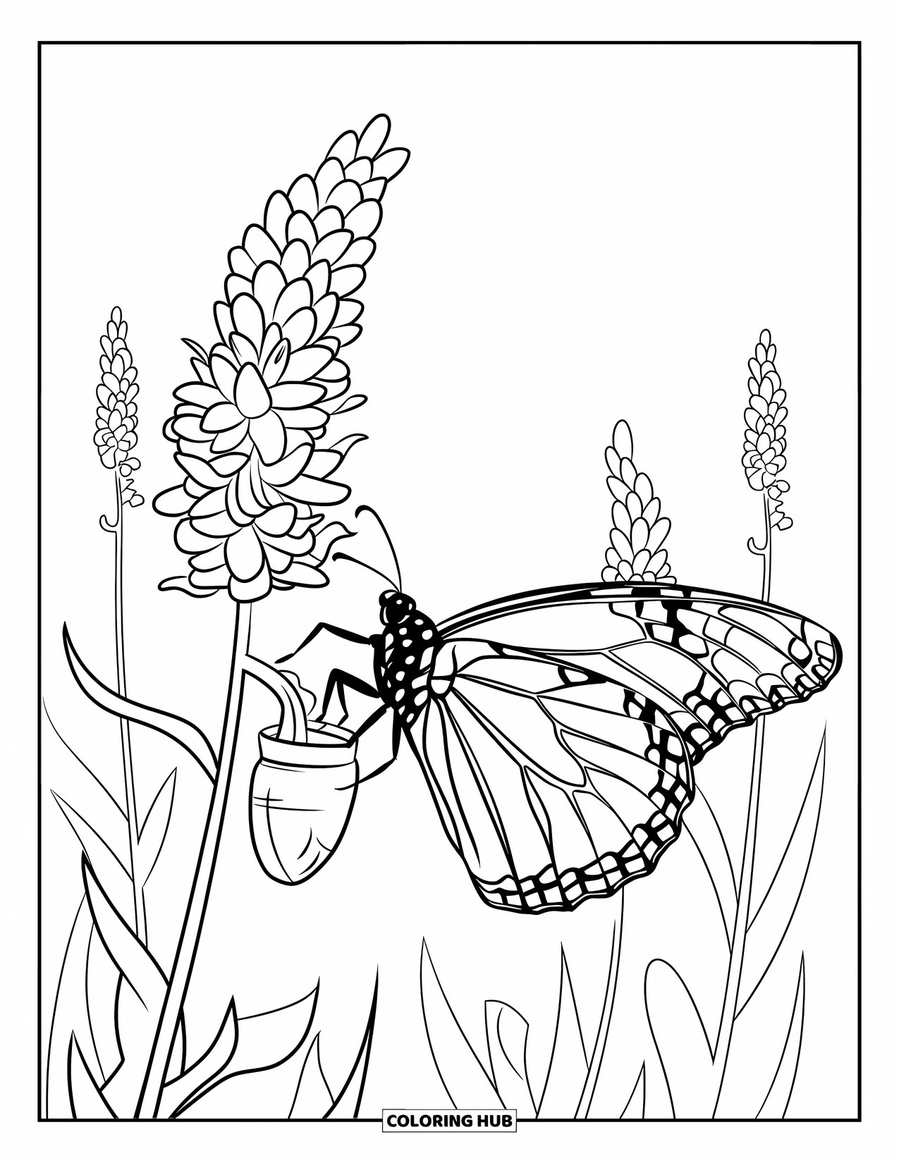Monarch Butterfly Coloring Page for Kids: A butterfly with folded wings rests near a chrysalis on a leafy stalk