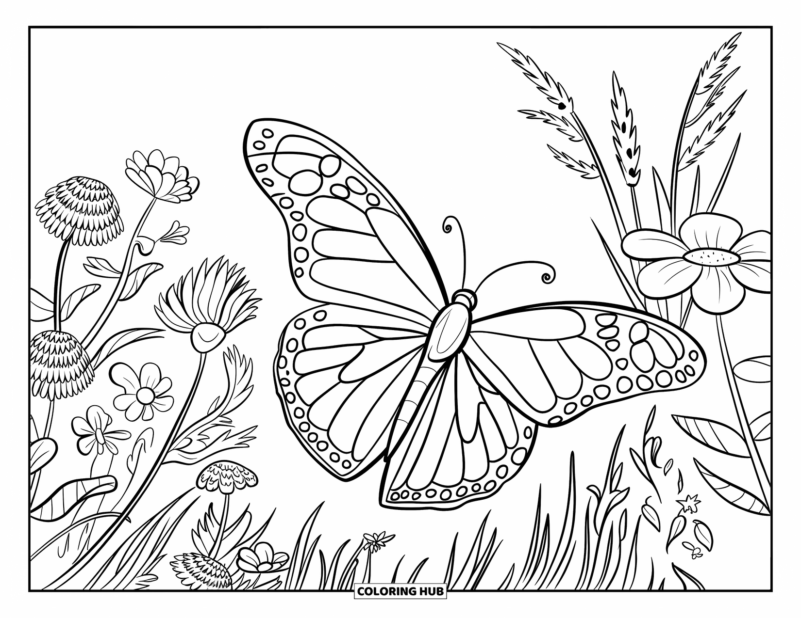 Monarch Butterfly Coloring Page for Kids: A butterfly with open wings flies over wildflowers and breeze-blown grass