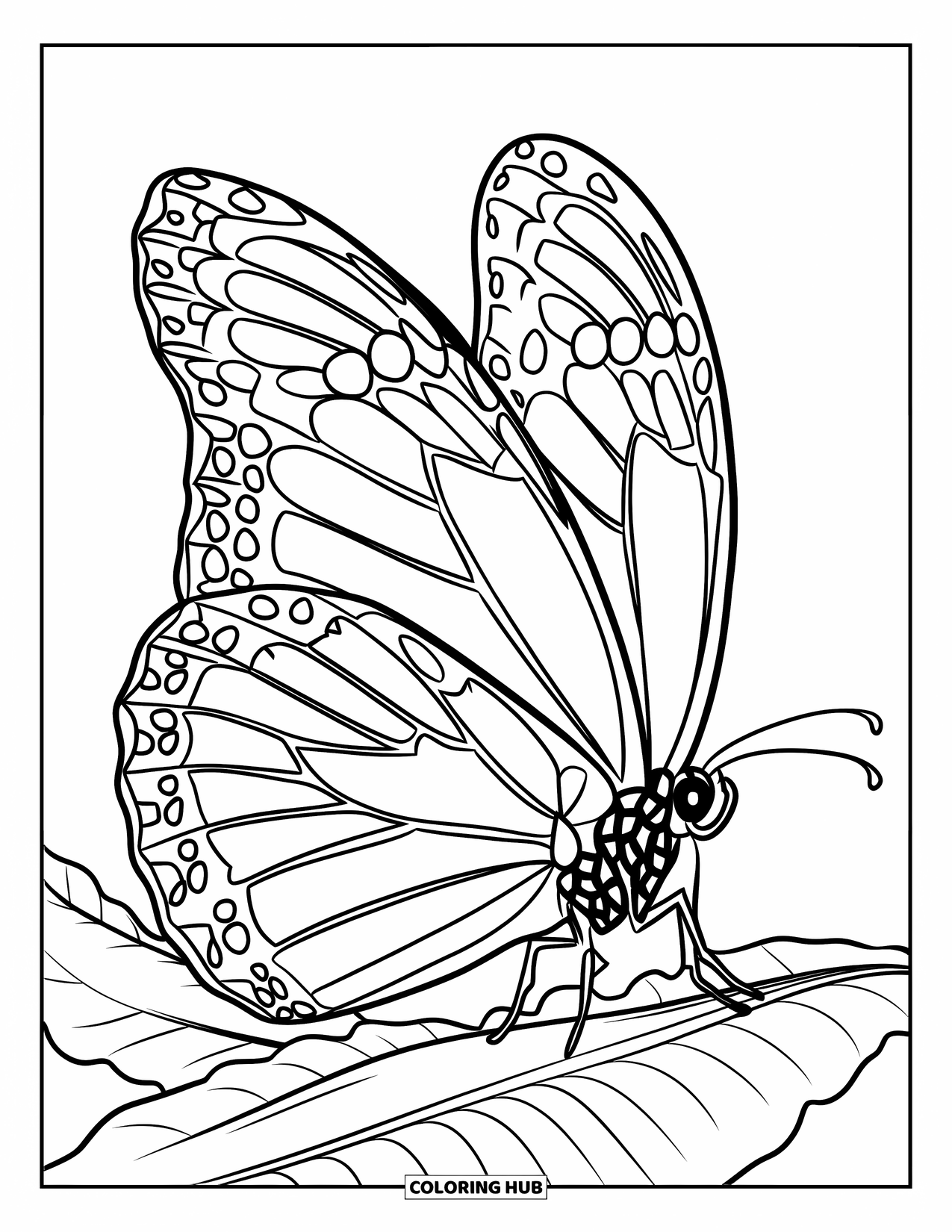Monarch Butterfly Coloring Page for Kids: A monarch perches on a leaf with patterned wings and soft details