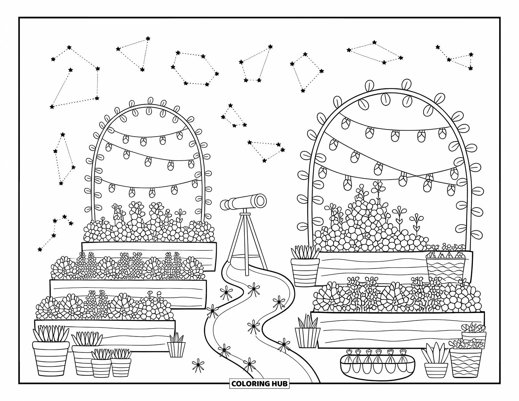 Night Sky Coloring Page for Adults: Flower beds and glowing fireflies lead to a telescope nestled under twinkling constellations