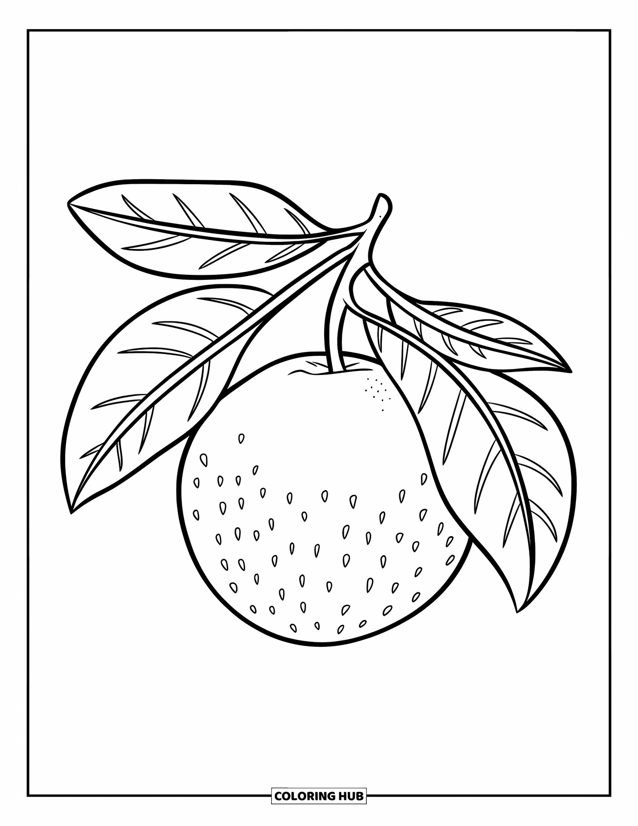Orange Coloring Page for Kids: A round orange with attached leaves stands alone on a white page
