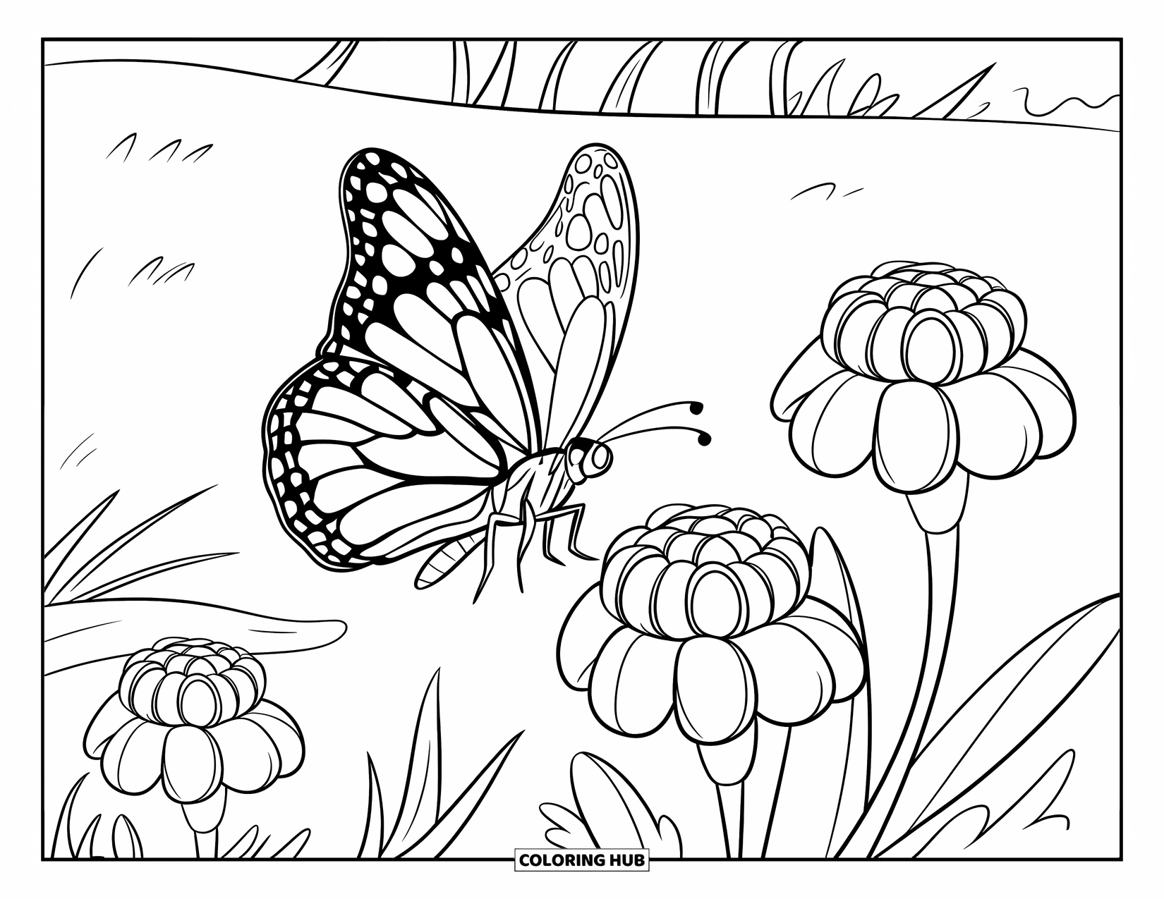 Orange Coloring Page for Kids: Butterfly wings spread over vibrant marigolds in a sunny field