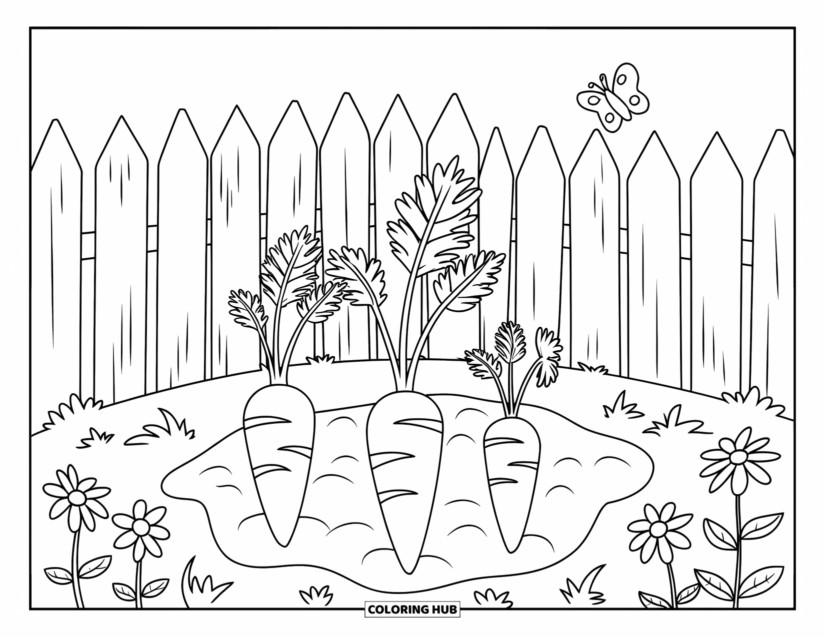 Orange Coloring Page for Kids: Three carrots grow in a garden surrounded by a wooden fence and flowers