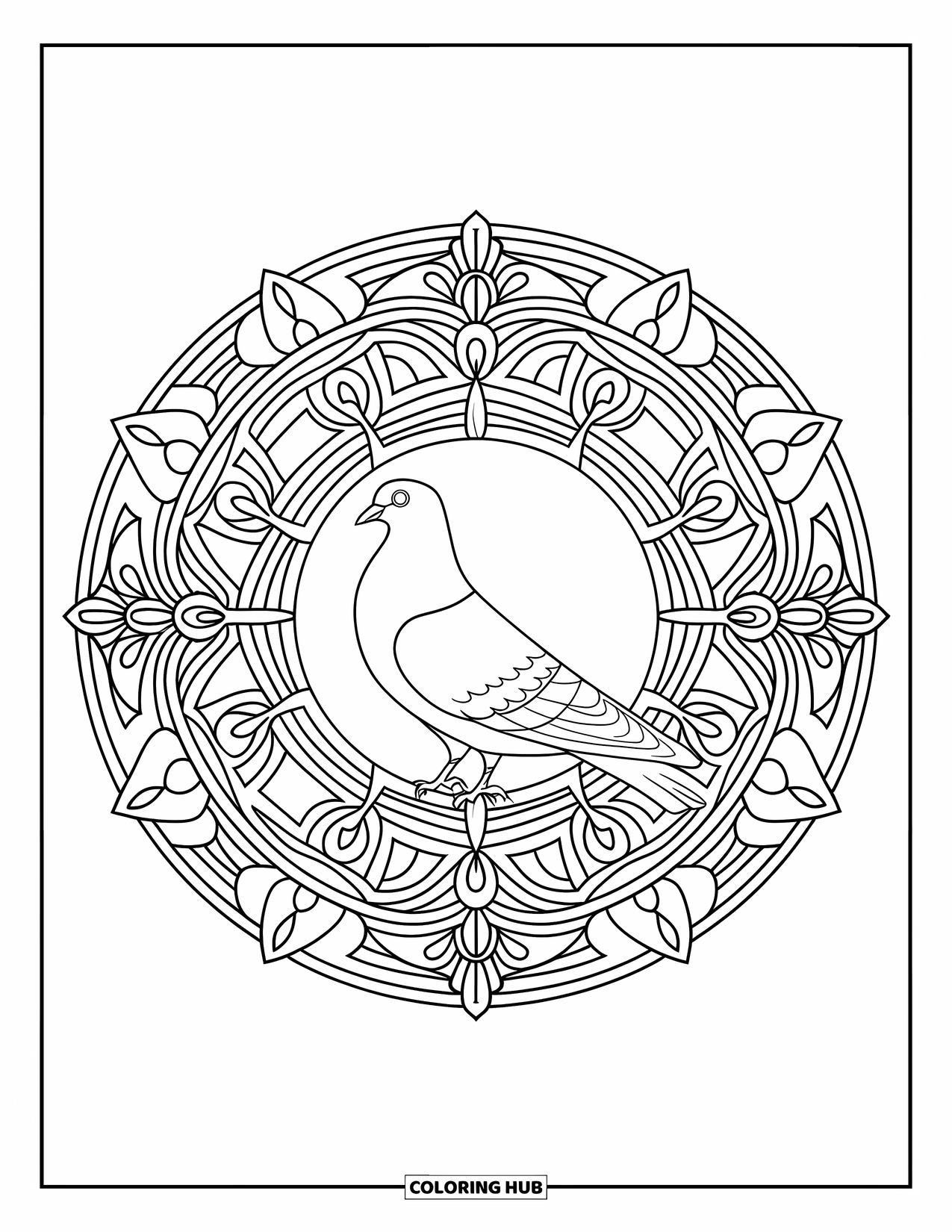 Pigeon Coloring Page for Adults: A regal pigeon is centered in a circular mandala full of floral patterns