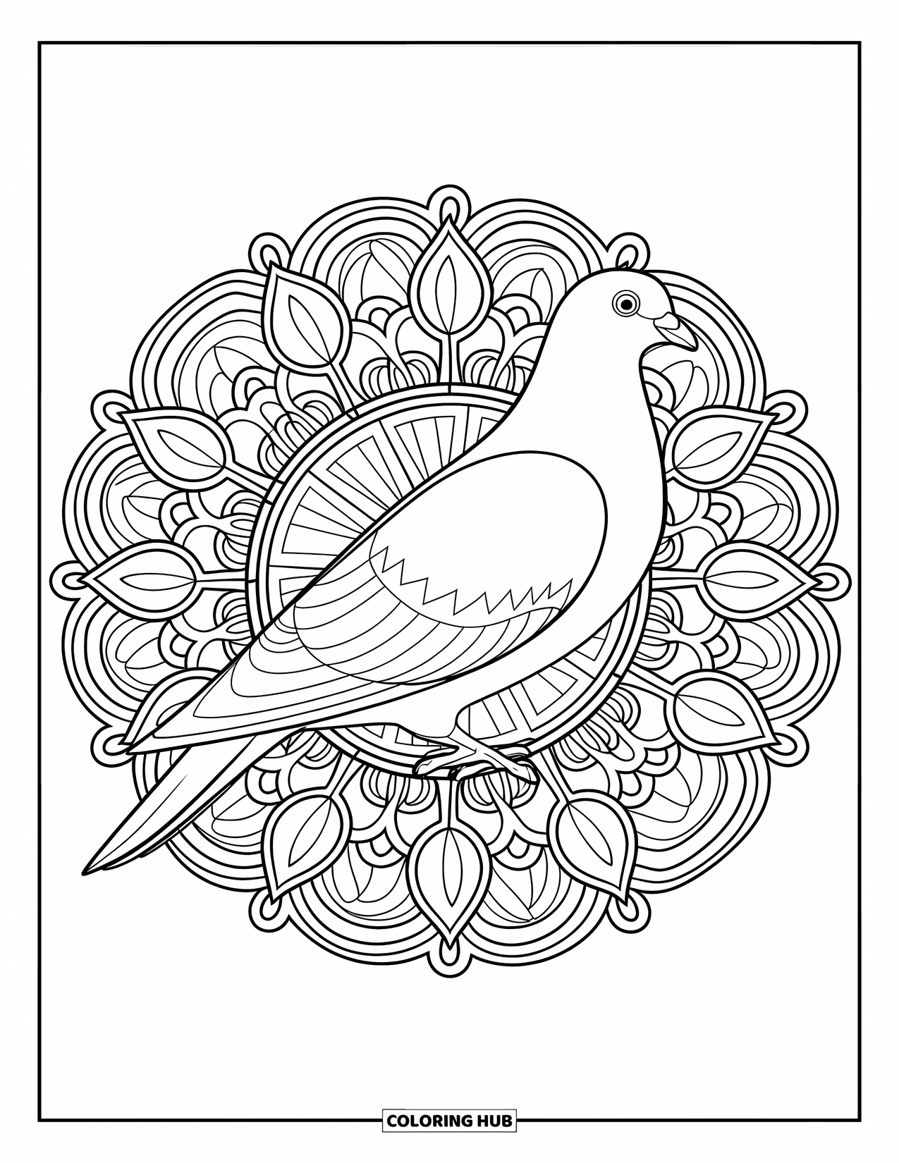 Pigeon Coloring Page for Adults: A royal pigeon sits at the heart of a detailed botanical mandala