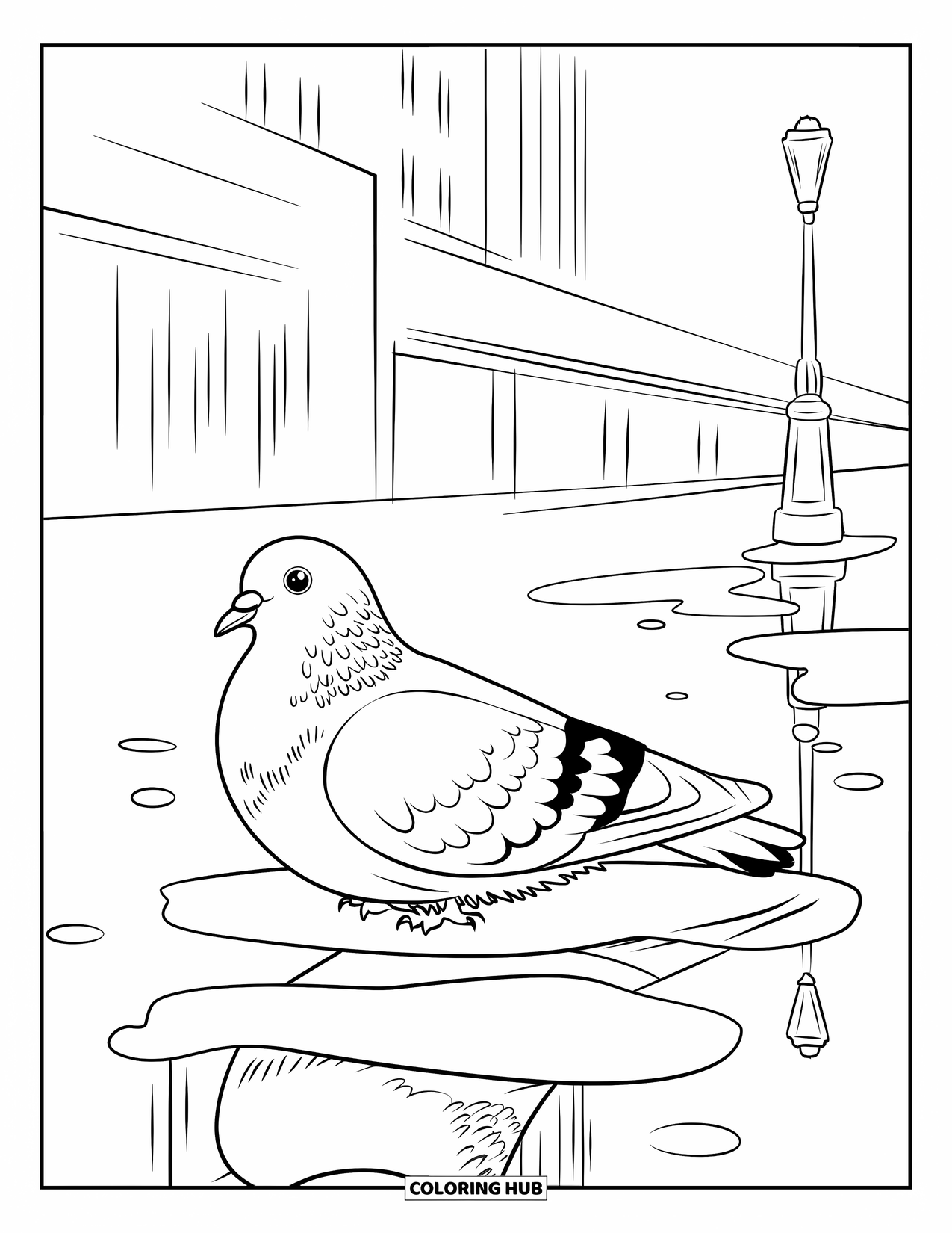 Pigeon Coloring Page for Kids: A pigeon relaxes near a puddle reflecting the sky and lamppost