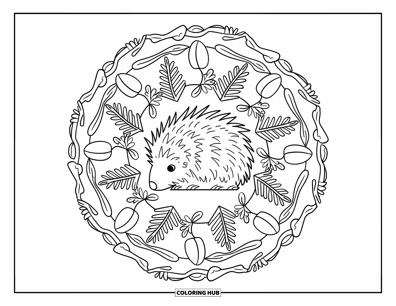 Porcupine Coloring Page for Adults: A curled porcupine rests at the center of a mandala of forest elements