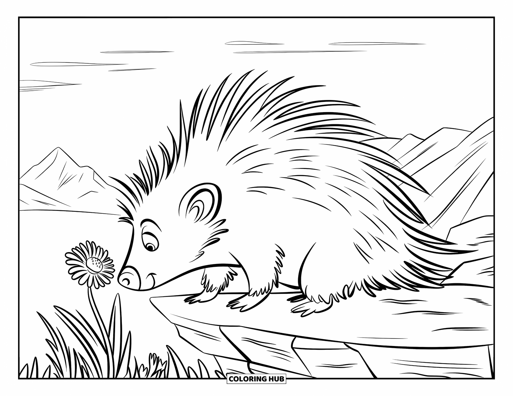 Porcupine Coloring Page for Kids: A porcupine gently sniffs a flower in a windy mountain setting