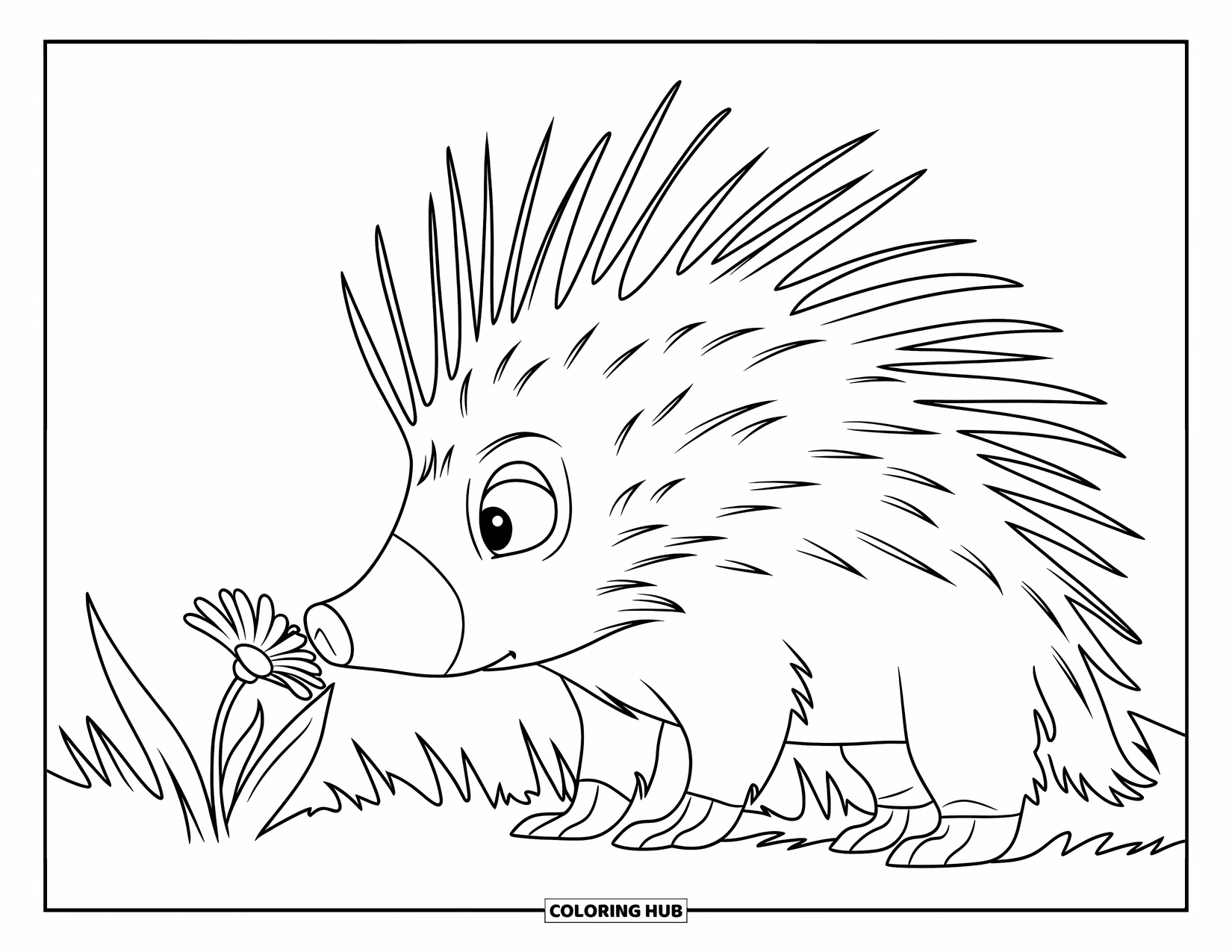 Porcupine Coloring Page for Kids: A porcupine sniffs a flower while the wind bends the grass around it