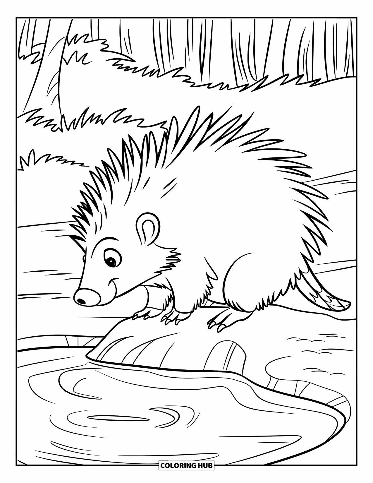 Porcupine Coloring Page for Kids: A porcupine stands on a rock in the middle of a peaceful pond