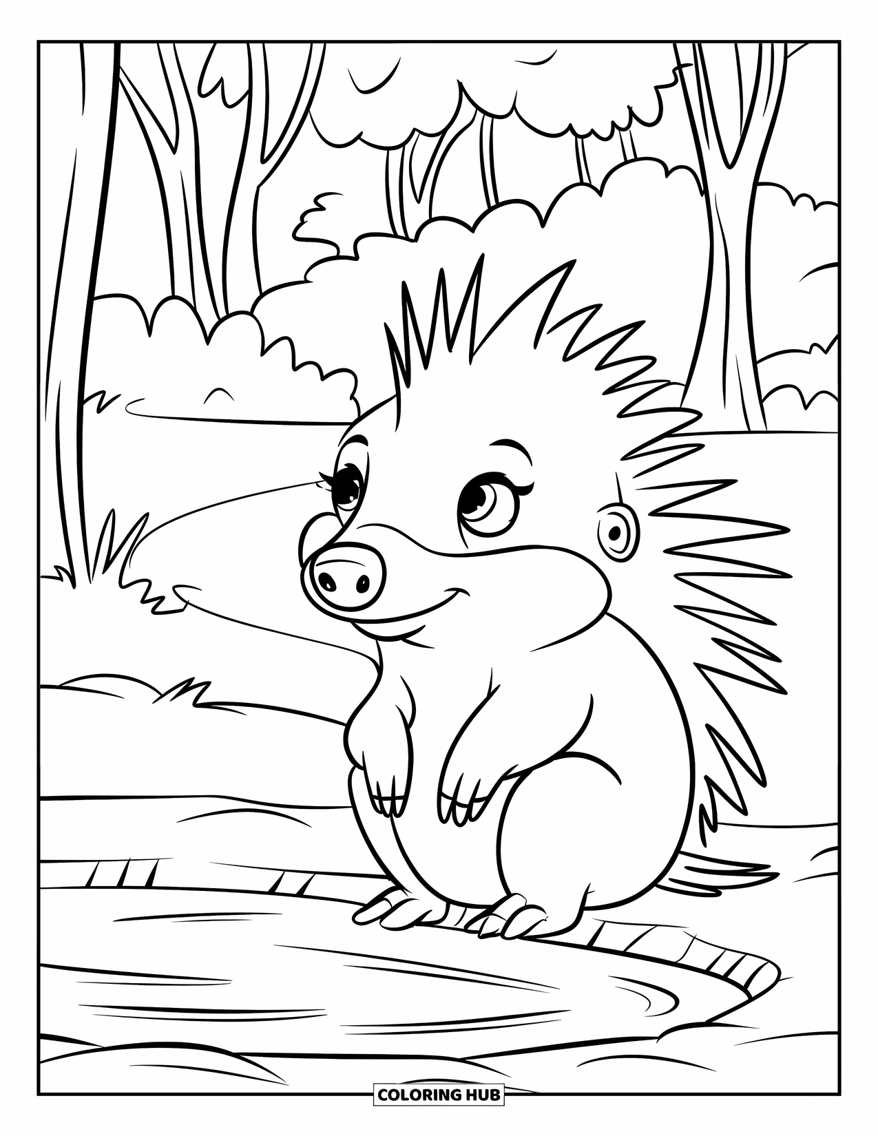 Porcupine Coloring Page for Kids: A porcupine wearing a hat sits near a pond with gentle ripples