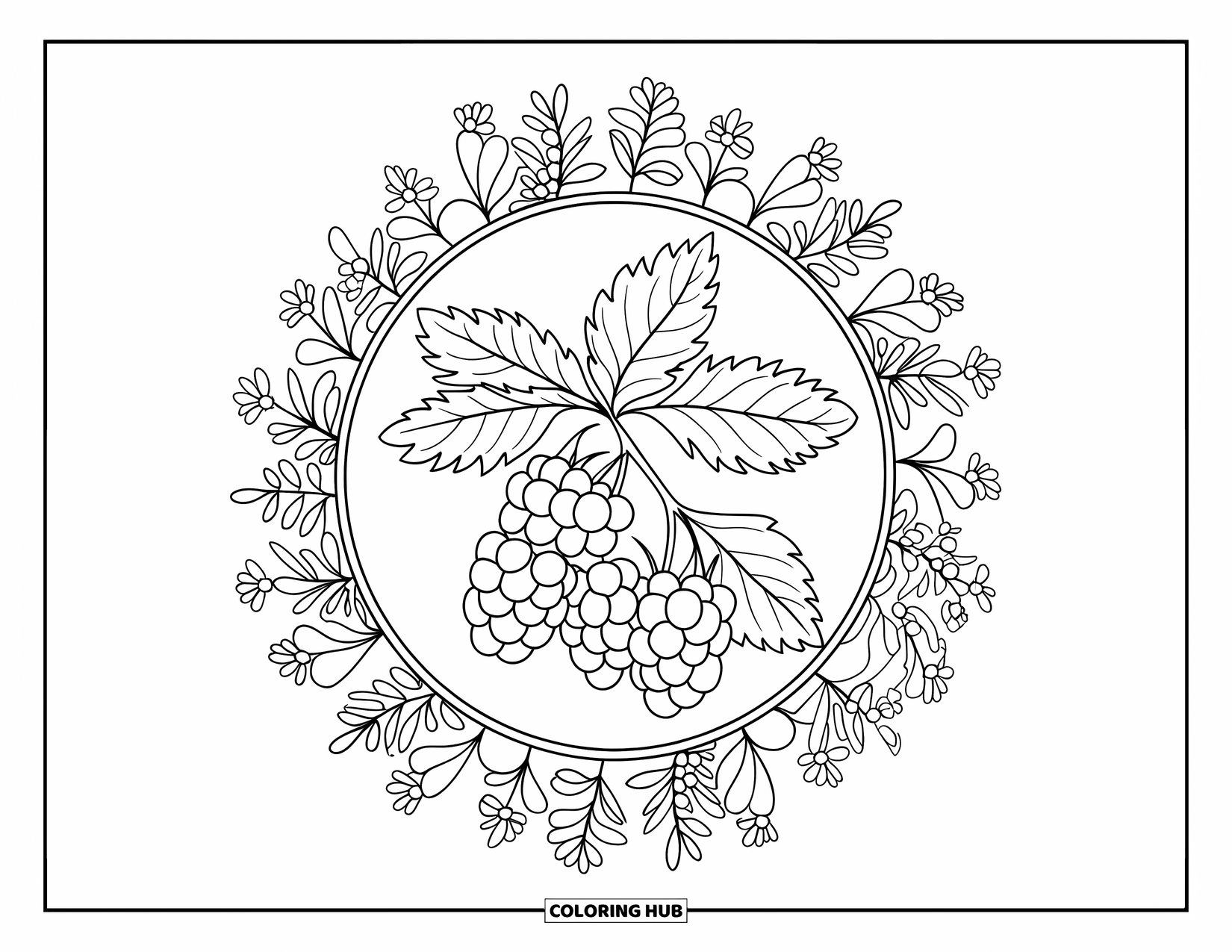 Purple Coloring Page for Adults: Blackberry branch in a floral mandala with detailed plant patterns