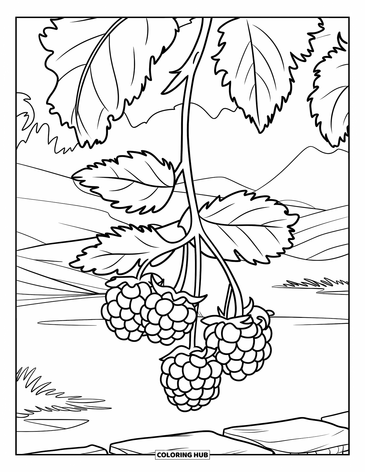 Purple Coloring Page for Kids: Blackberry branch over a stone wall with scenic hills and lake