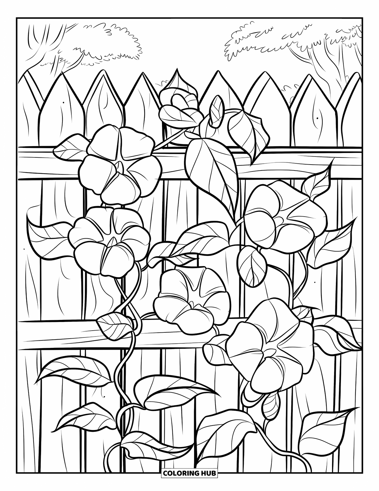 Purple Coloring Page for Kids: Blue morning glory flowers climbing a wooden fence with trees