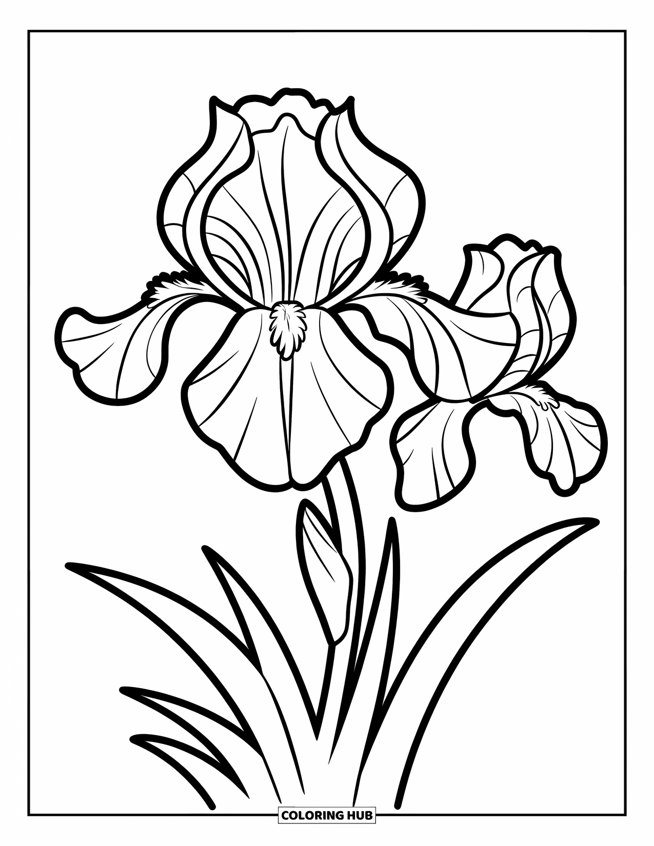 Purple Coloring Page for Kids: Bold iris flower with three petals on a white background
