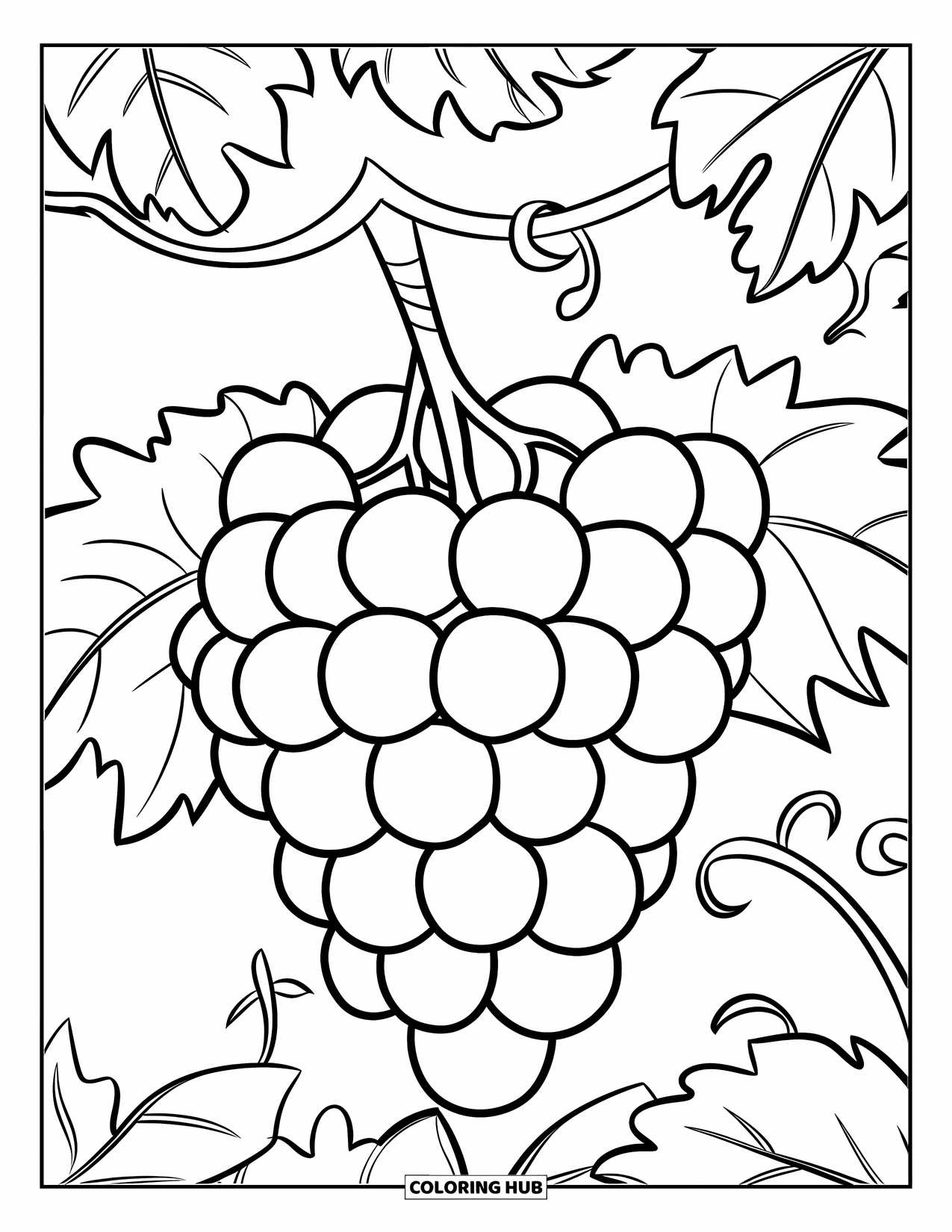 Purple Coloring Page for Kids: Clustered grapes with thick stems and simple leaves