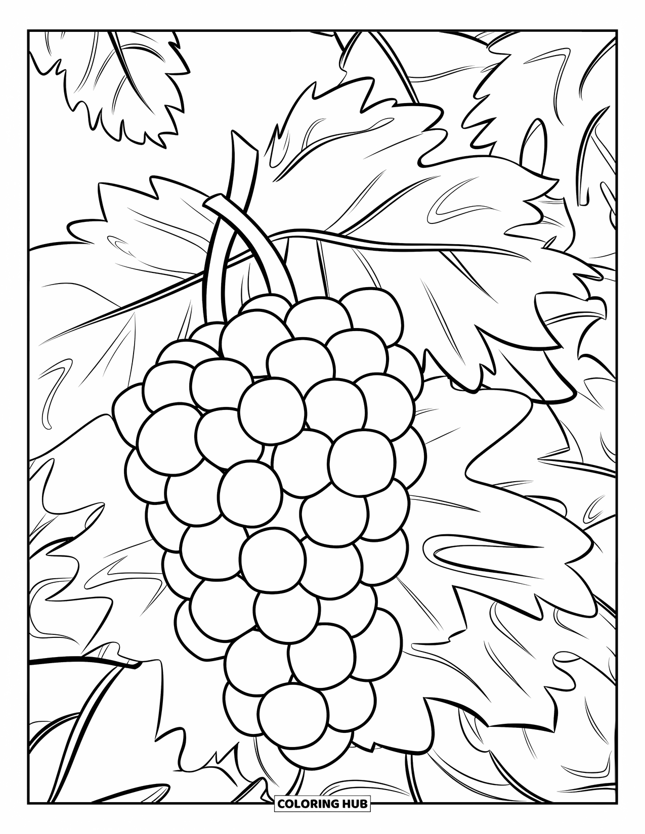 Purple Coloring Page for Kids: Juicy grapes with thick stems and simple leaves
