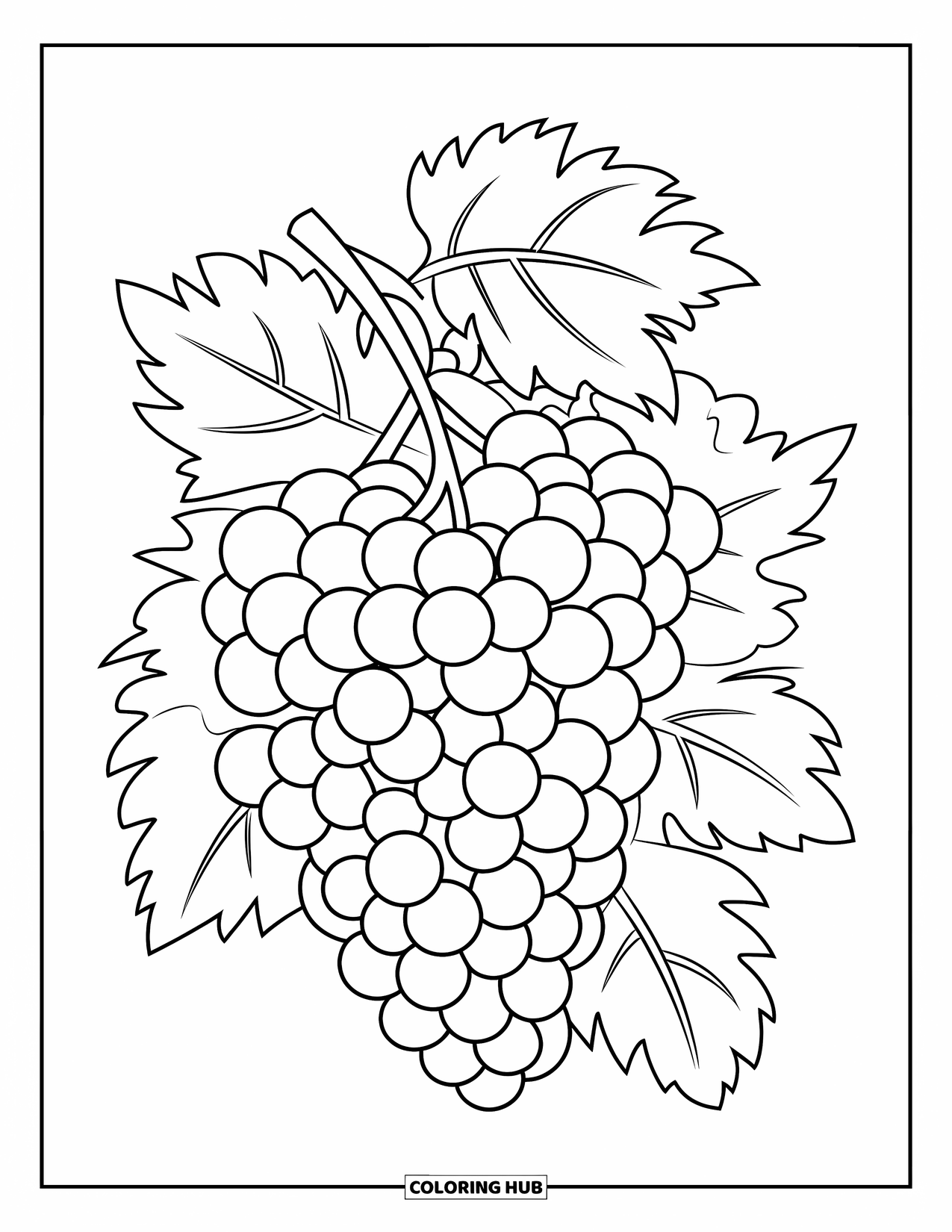 Purple Coloring Page for Kids: Large bunch of grapes with thick stems and simple leaves