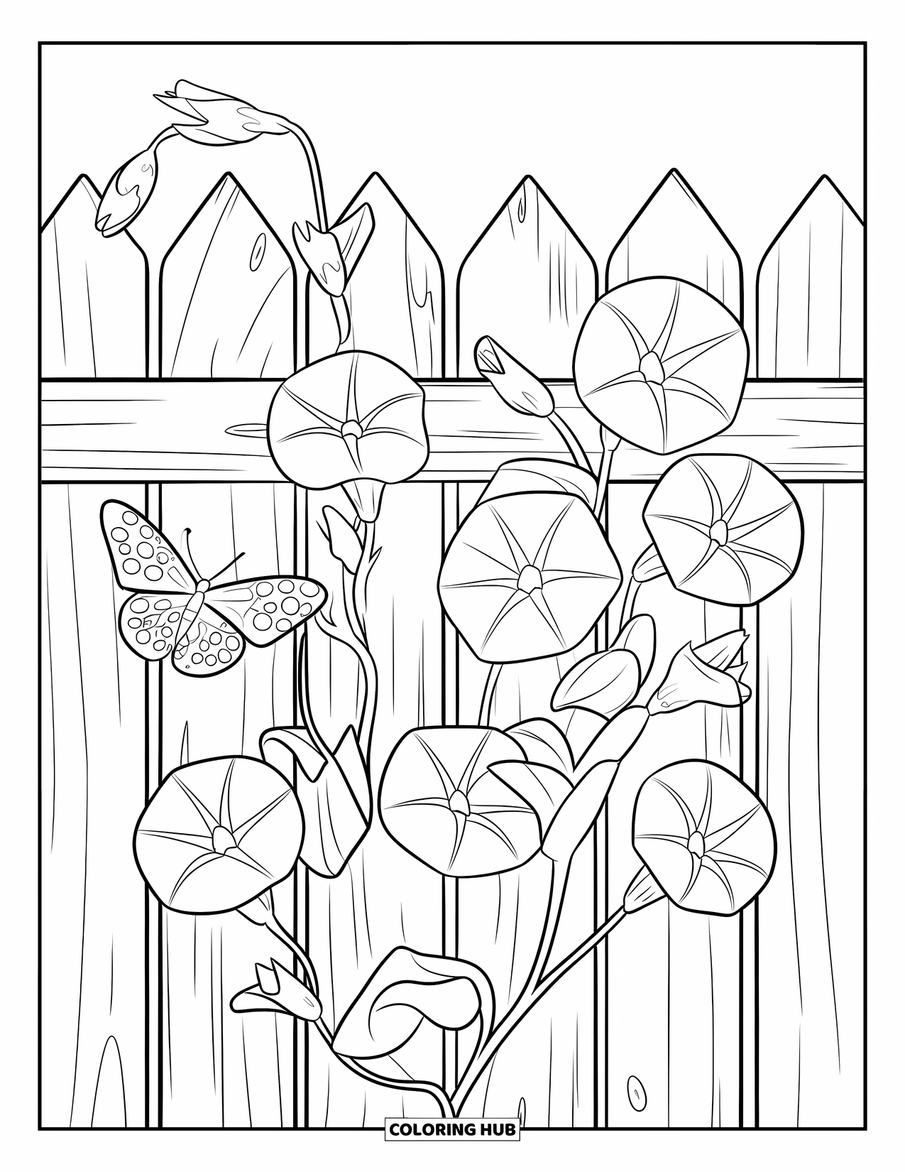 Purple Coloring Page for Kids: Morning glory vines on a fence with a butterfly resting