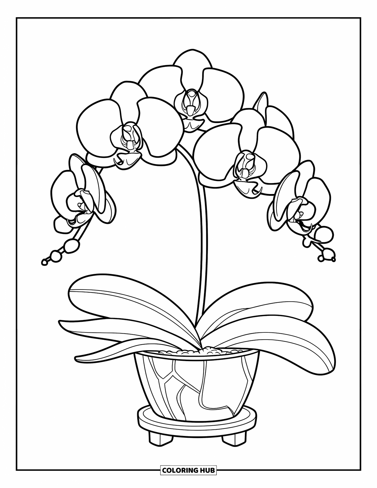 Purple Coloring Page for Kids: Orchid plant in a pot on a small wooden stand