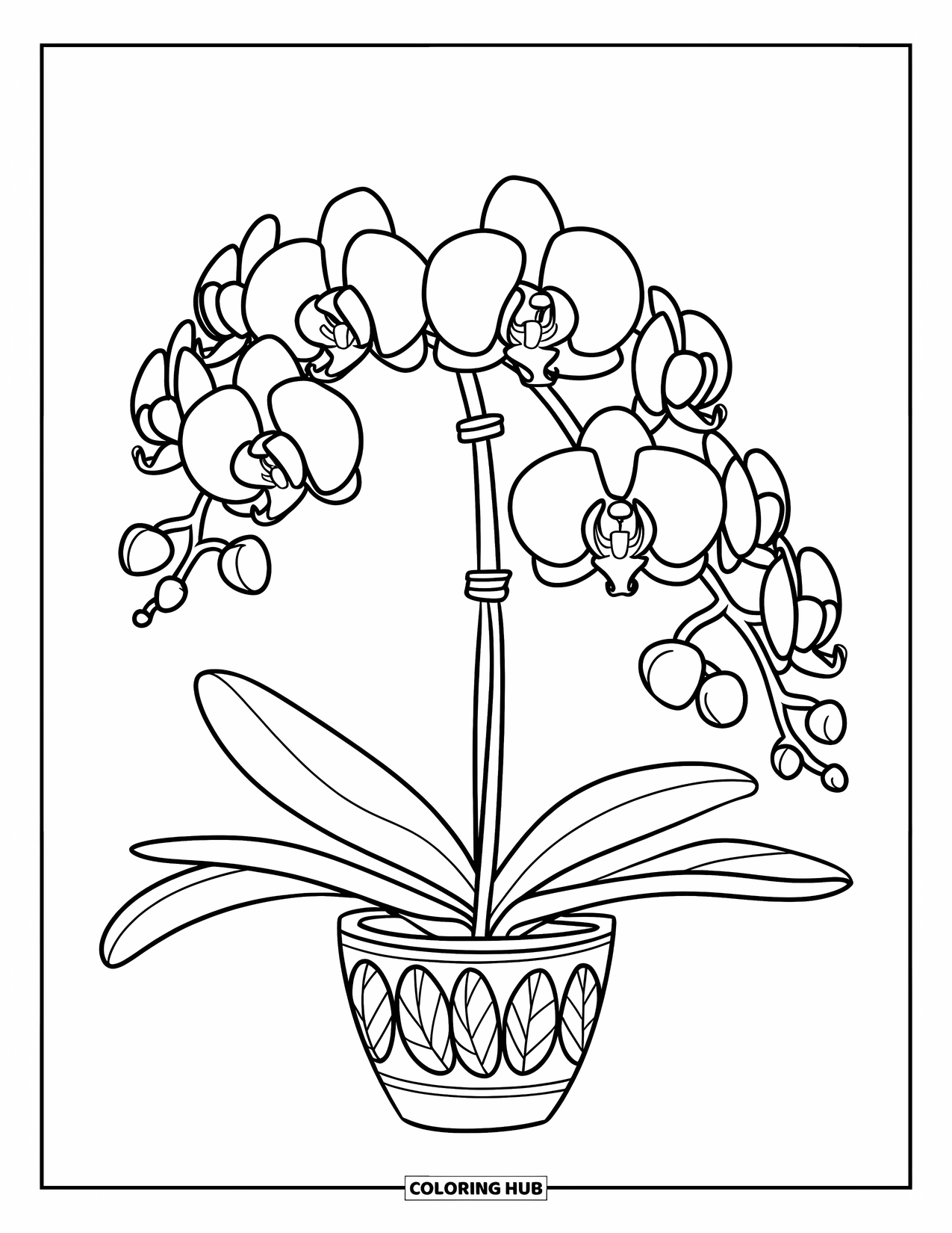 Purple Coloring Page for Kids: Pink orchid with green leaves in a patterned pot