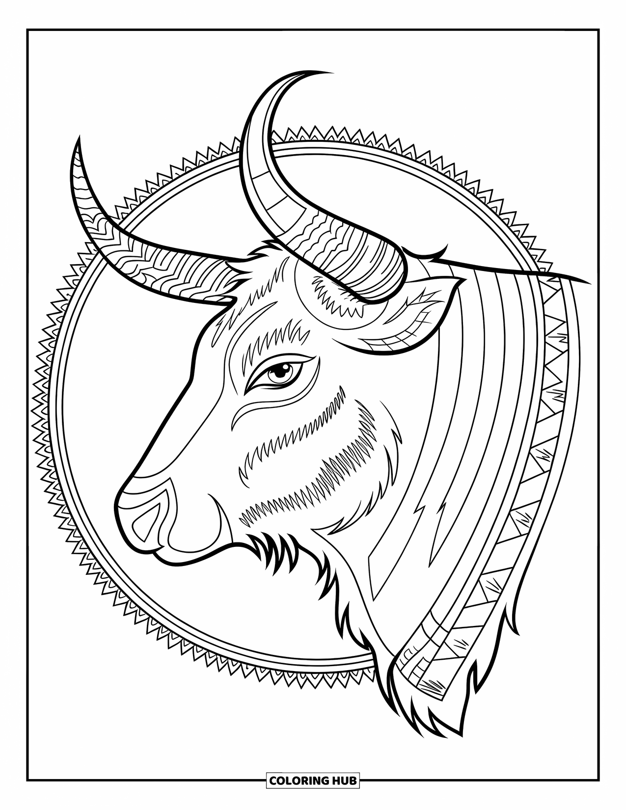 Rodeo Coloring Page for Adults: Bull's head in profile with curving horns and tribal western patterns