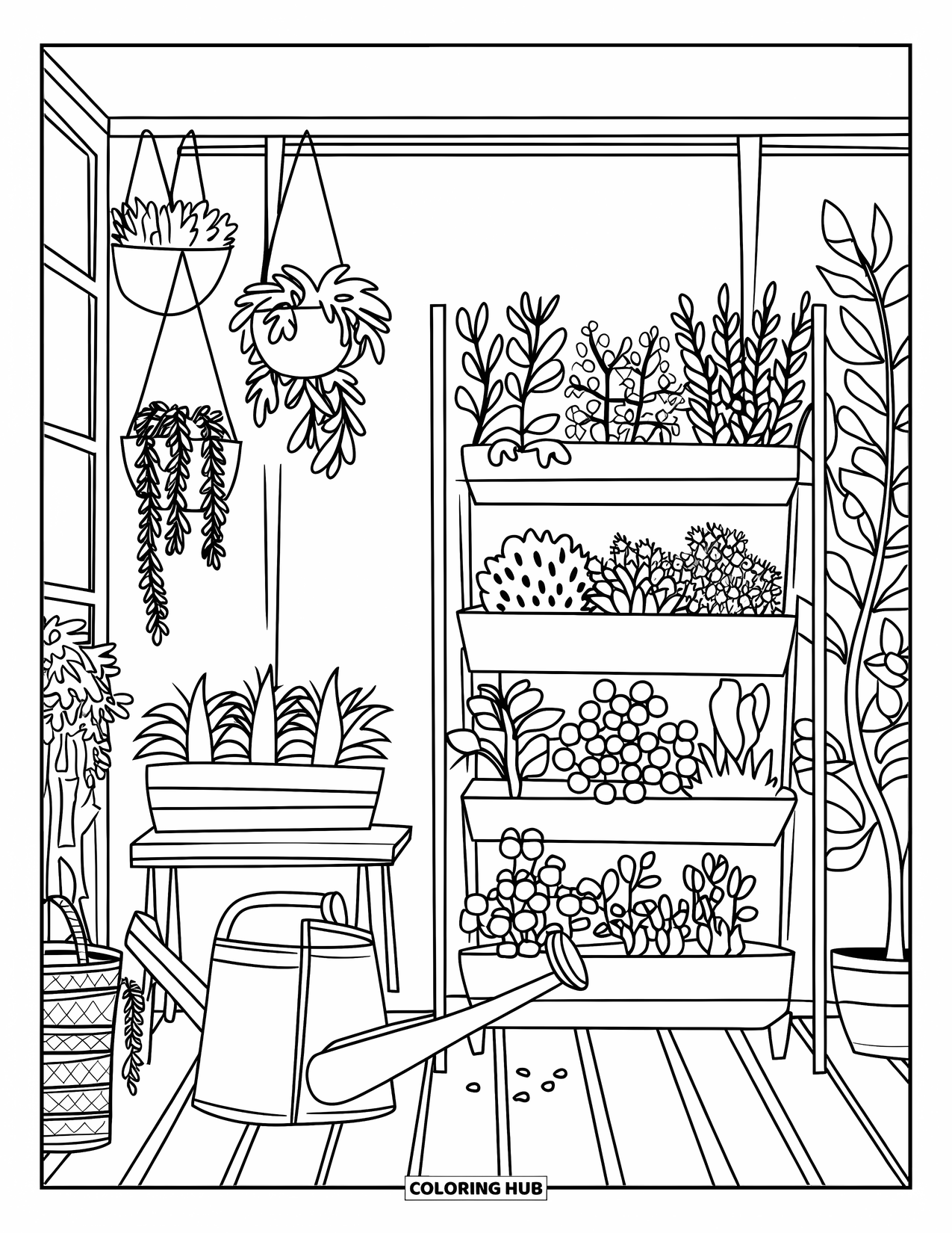 Room Coloring Page for Adults: Greenhouse room with plants, wooden floor, baskets, and hanging pots