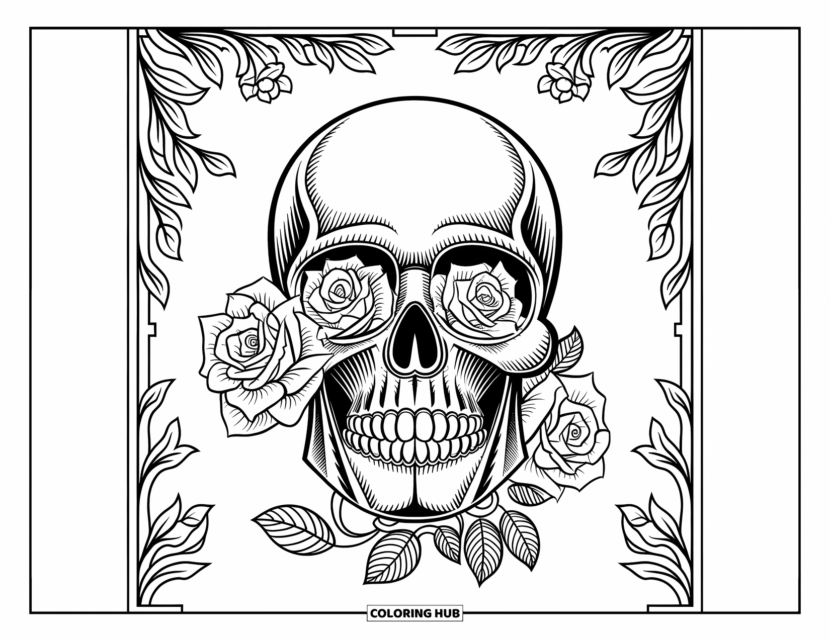 Rose Skull Coloring Page for Adults: A baroque-style skull has roses flowing from its eyes and jaw