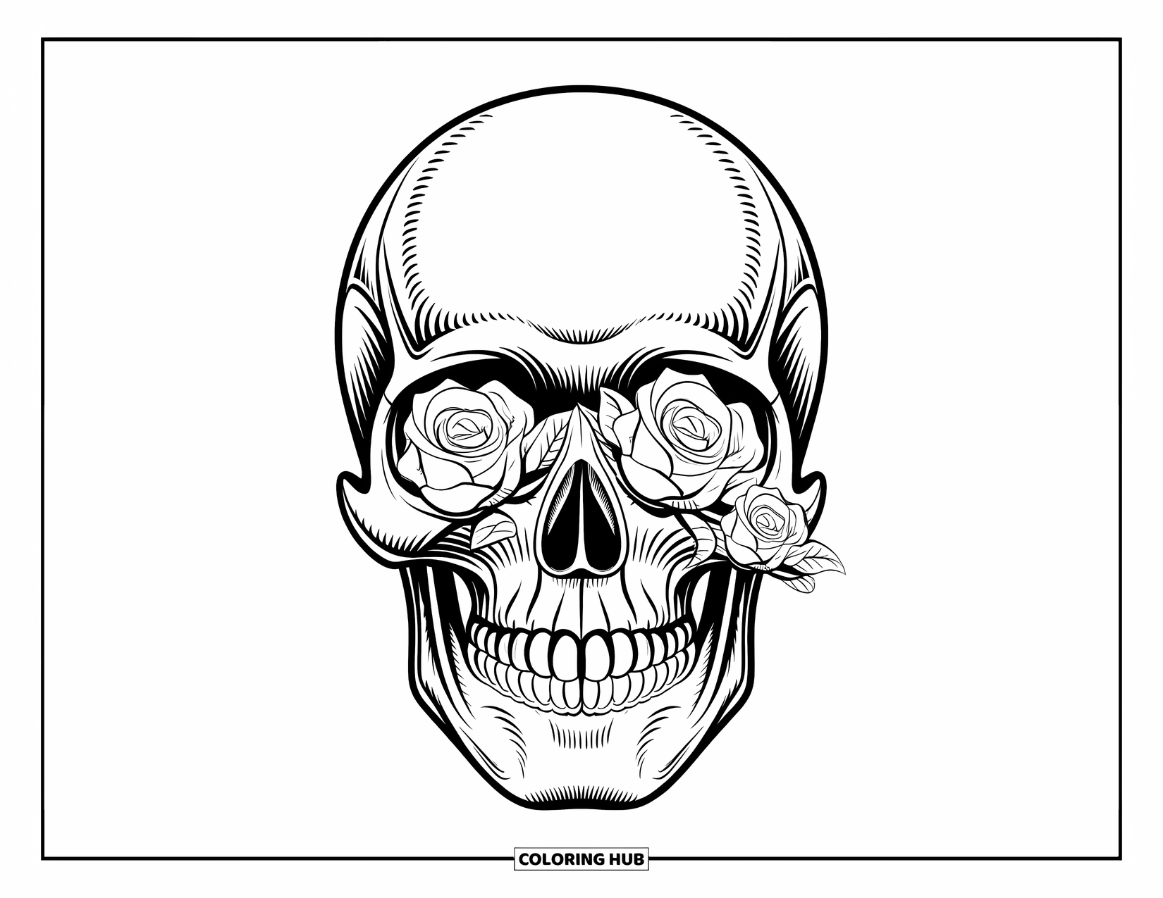 Rose Skull Coloring Page for Adults: A patterned skull with roses flows into a floral background