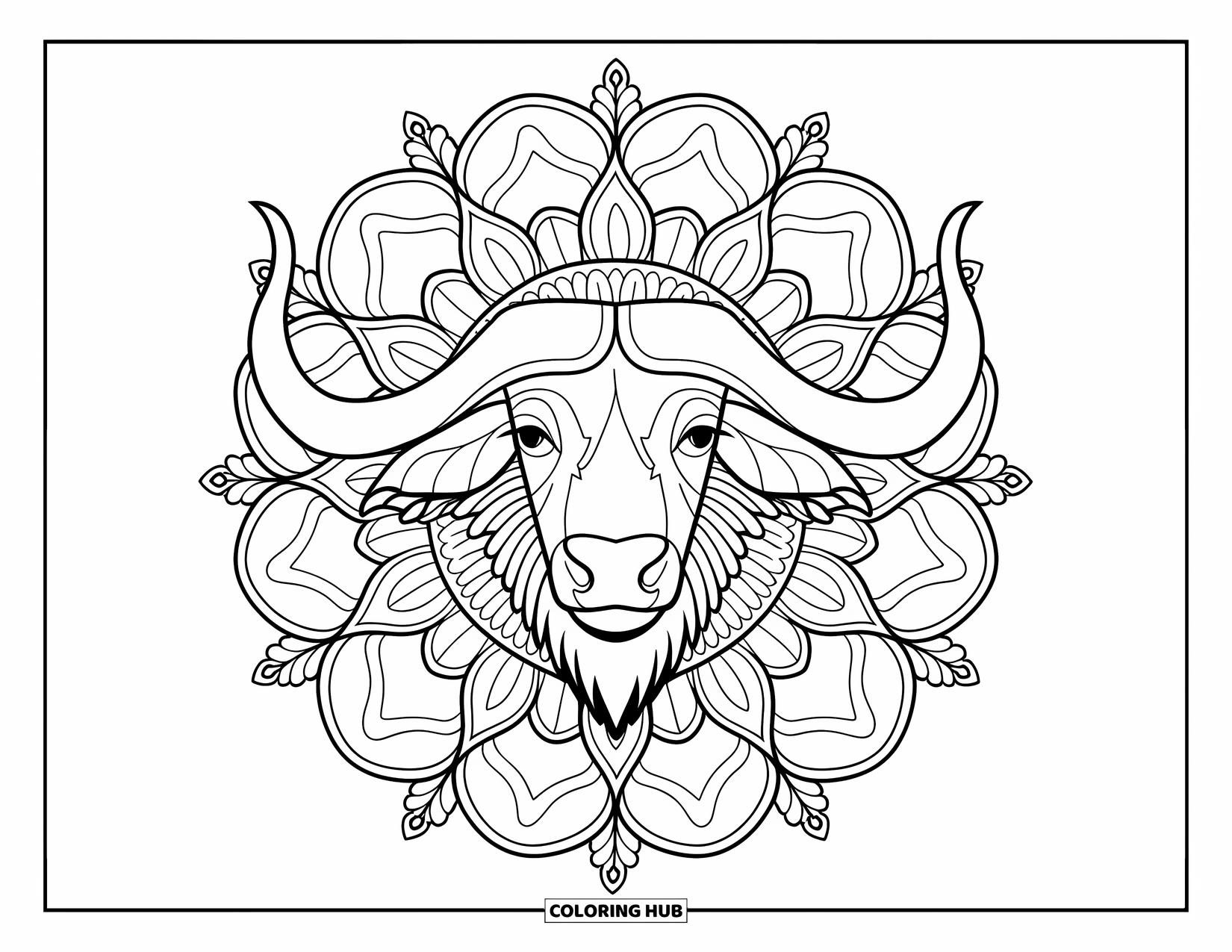 Safari Animal Coloring Page for Adults: A buffalo face with curving horns framed by floral and leaf mandala patterns