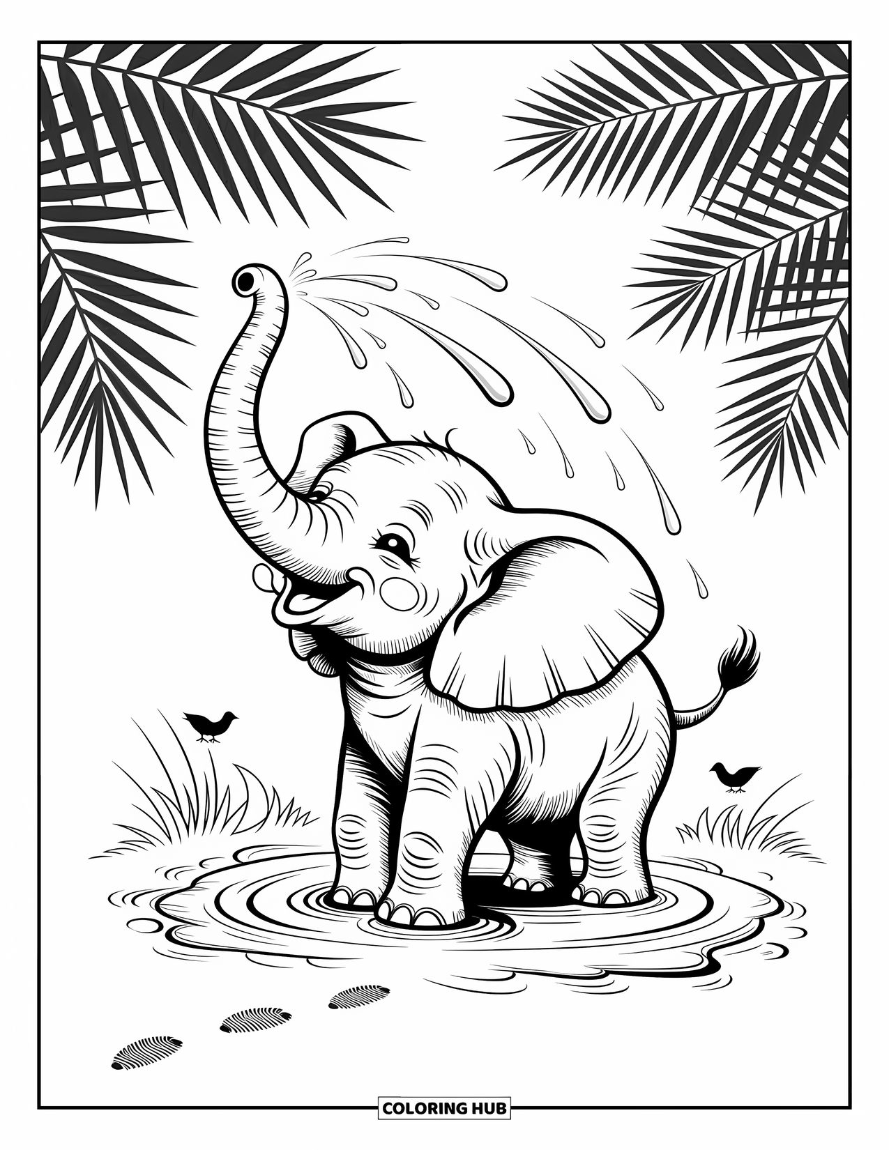 Safari Animal Coloring Page for Adults: A playful baby elephant sprays water from its trunk in a mud pool