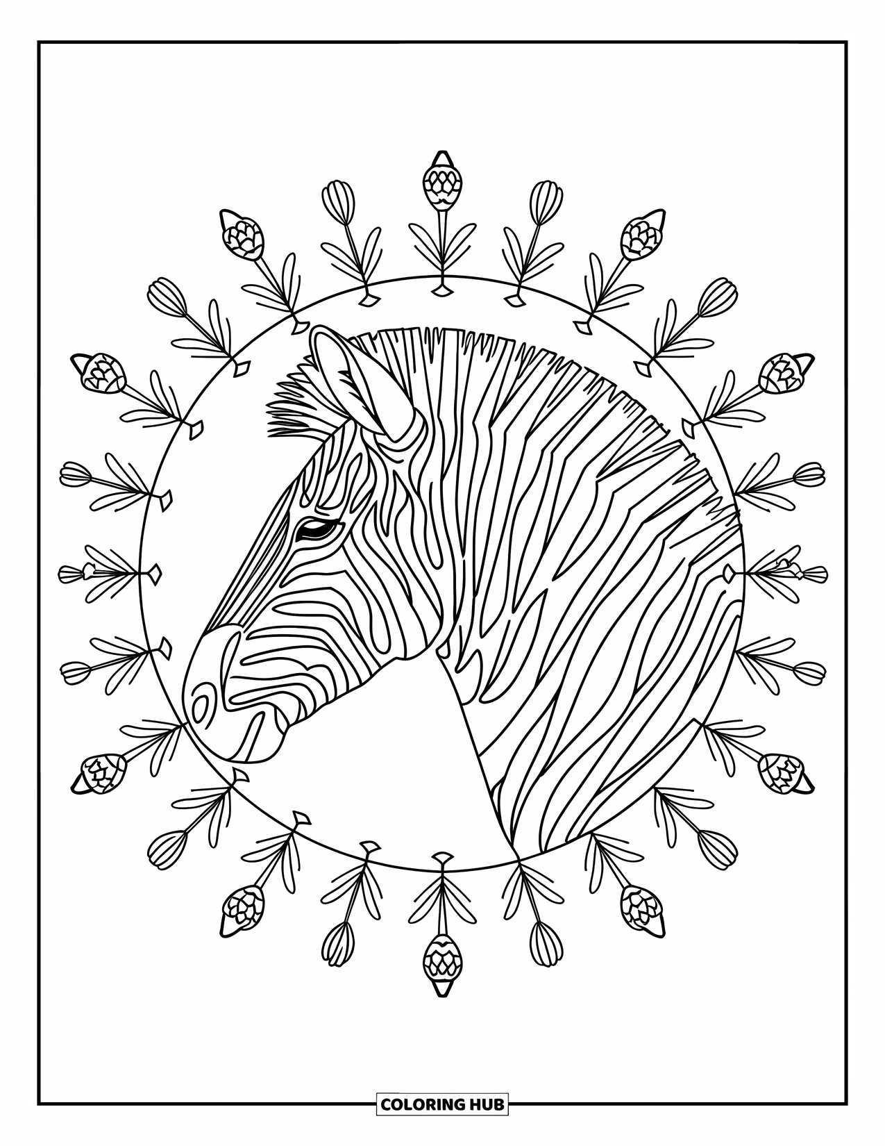 Safari Animal Coloring Page for Adults: A zebra head in profile with a radial mandala of acacia pods and grasses