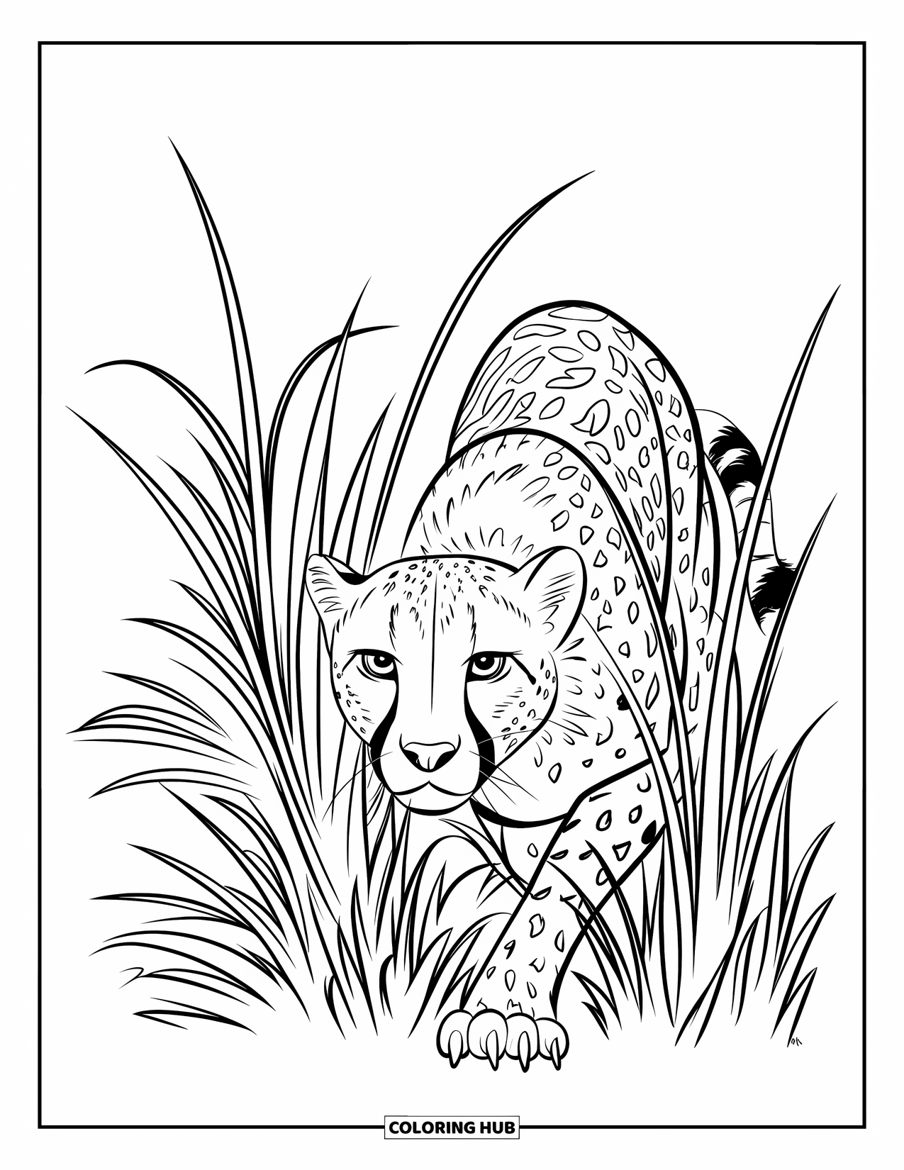 Safari Animal Coloring Page for Kids: A cheetah crouching low in tall grass with bold safari outlines