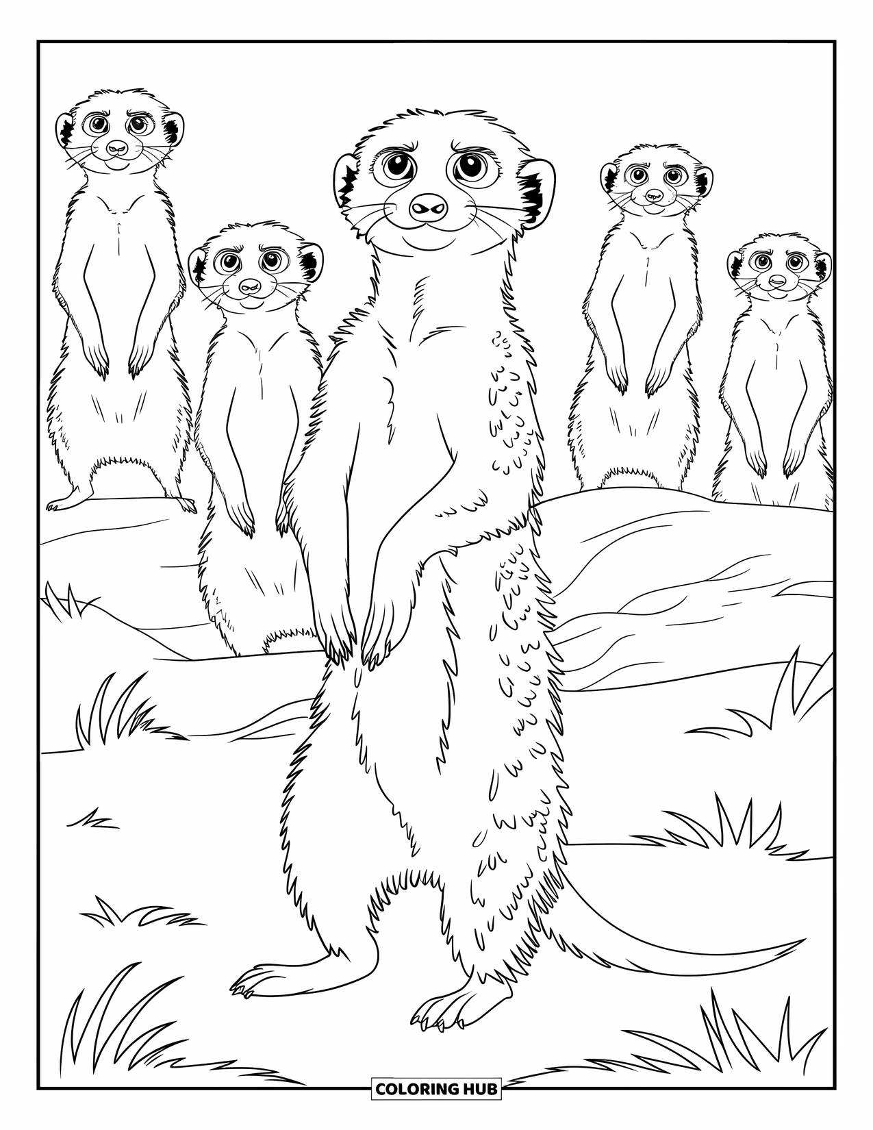Safari Animal Coloring Page for Kids: A meerkat standing upright with others behind in grassy terrain