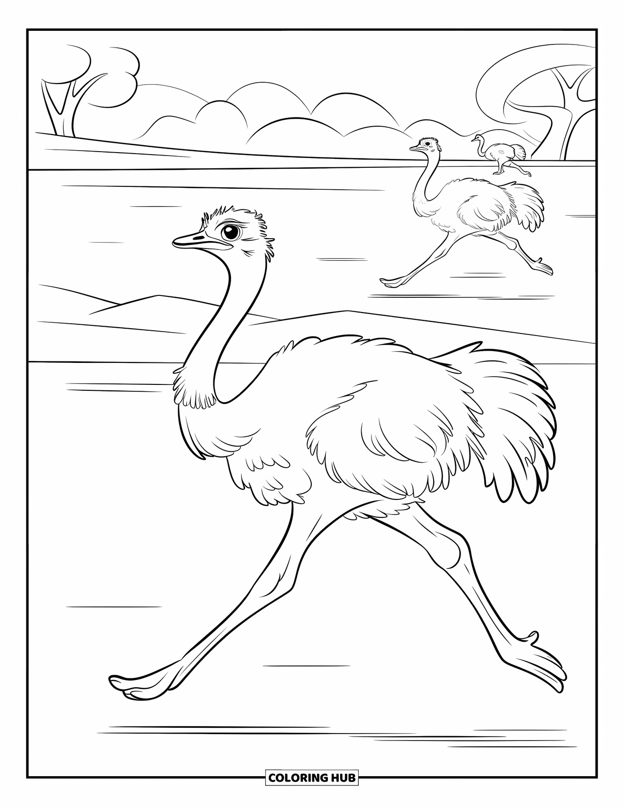 Safari Animal Coloring Page for Kids: An ostrich sprinting ahead with two others running behind in the distance